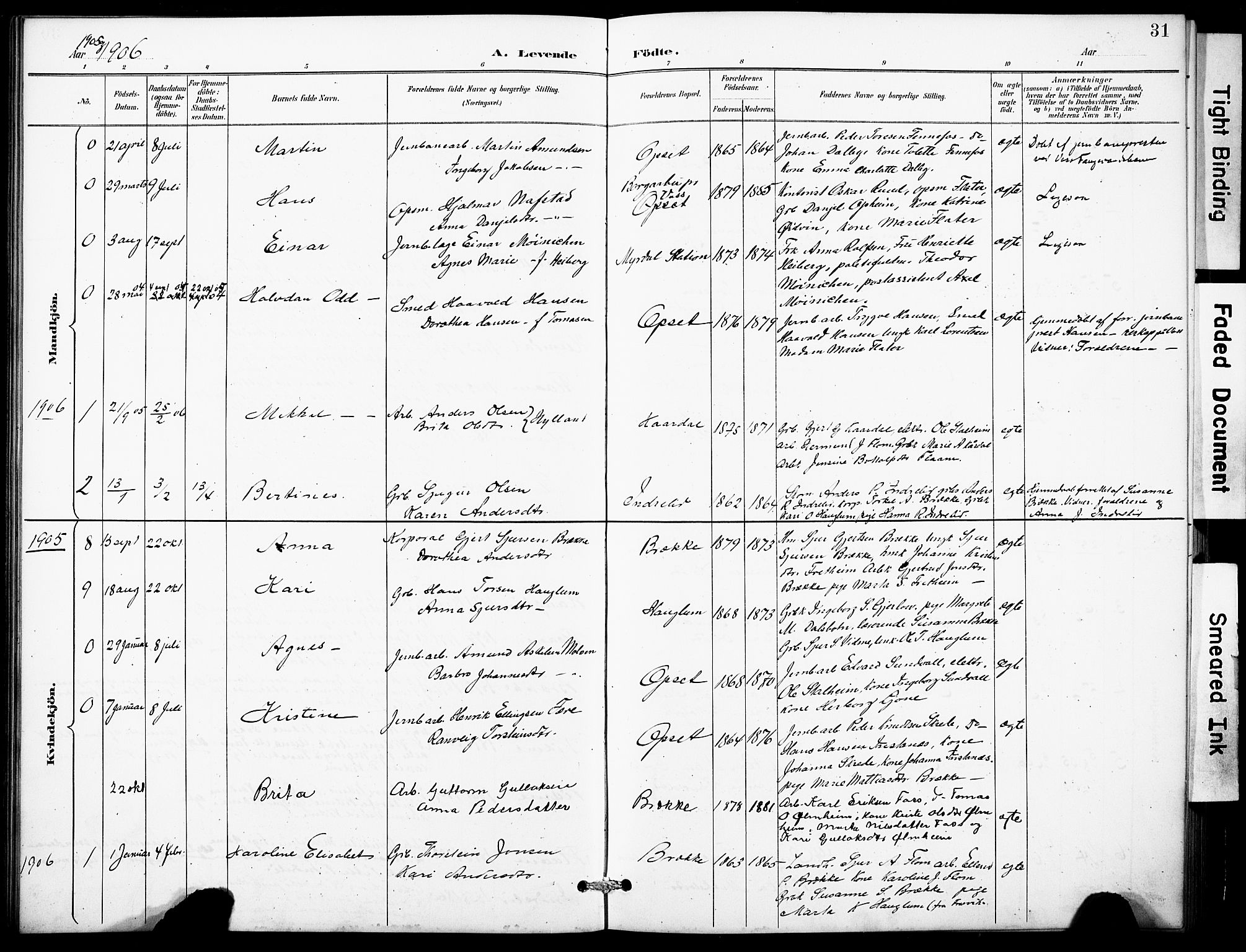 Aurland sokneprestembete, SAB/A-99937/H/Hb/Hbb/L0002: Parish register (copy) no. B 2, 1887-1929, p. 31
