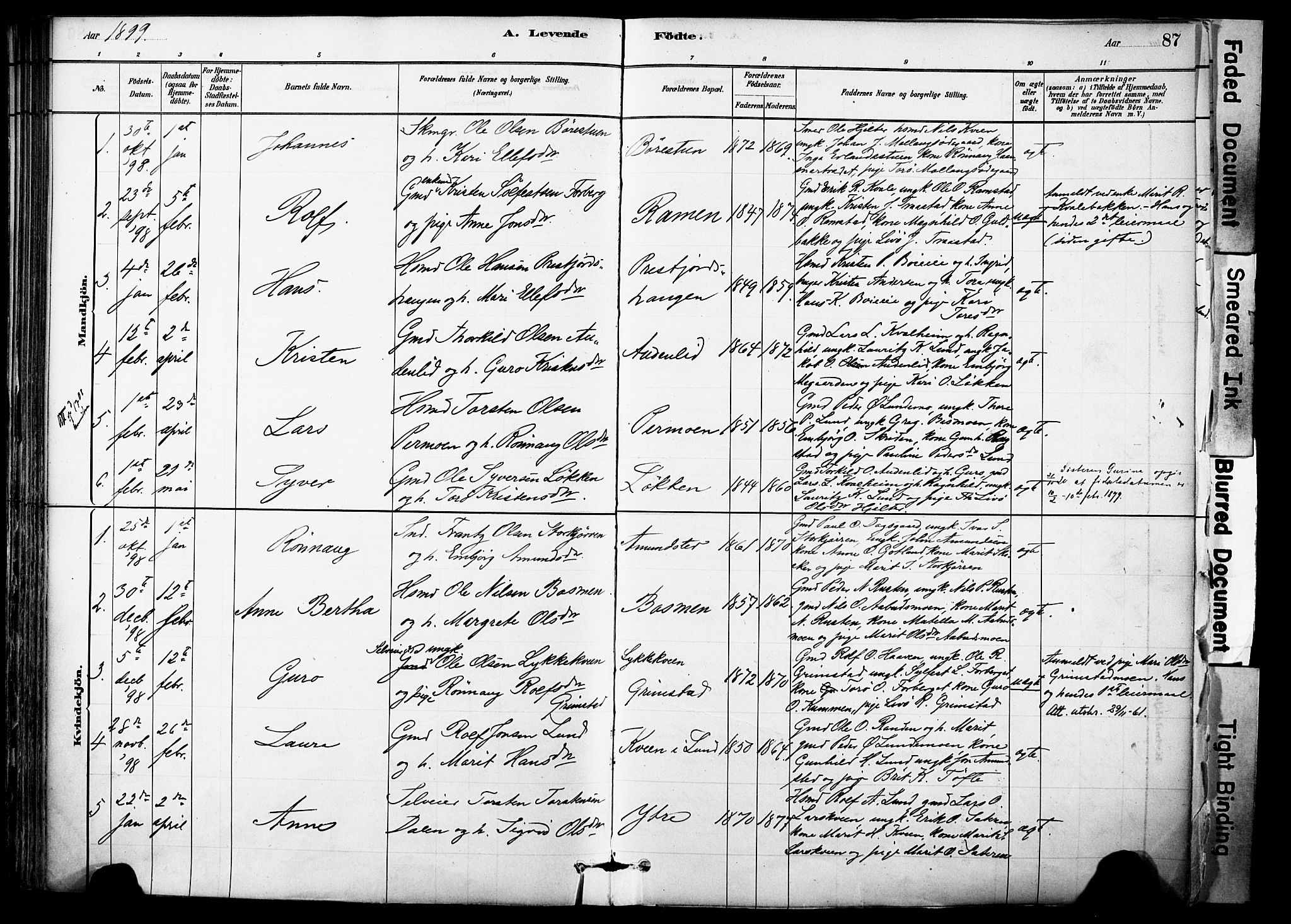 Skjåk prestekontor, AV/SAH-PREST-072/H/Ha/Haa/L0003: Parish register (official) no. 3, 1880-1907, p. 87