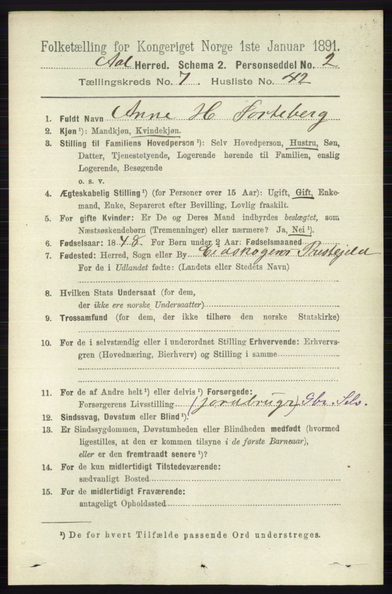 RA, 1891 census for 0619 Ål, 1891, p. 2017