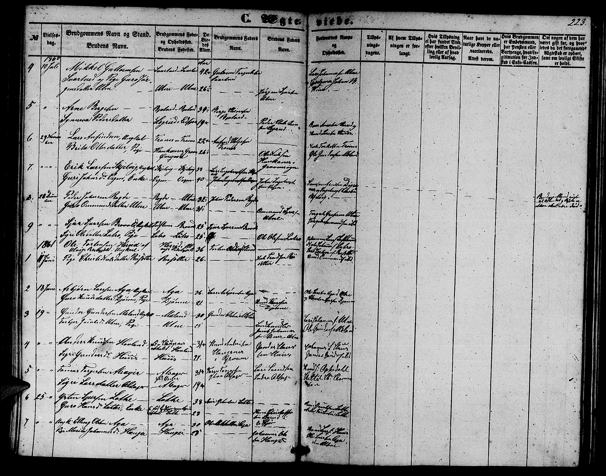 Ullensvang sokneprestembete, SAB/A-78701/H/Hab: Parish register (copy) no. E 6, 1857-1886, p. 223