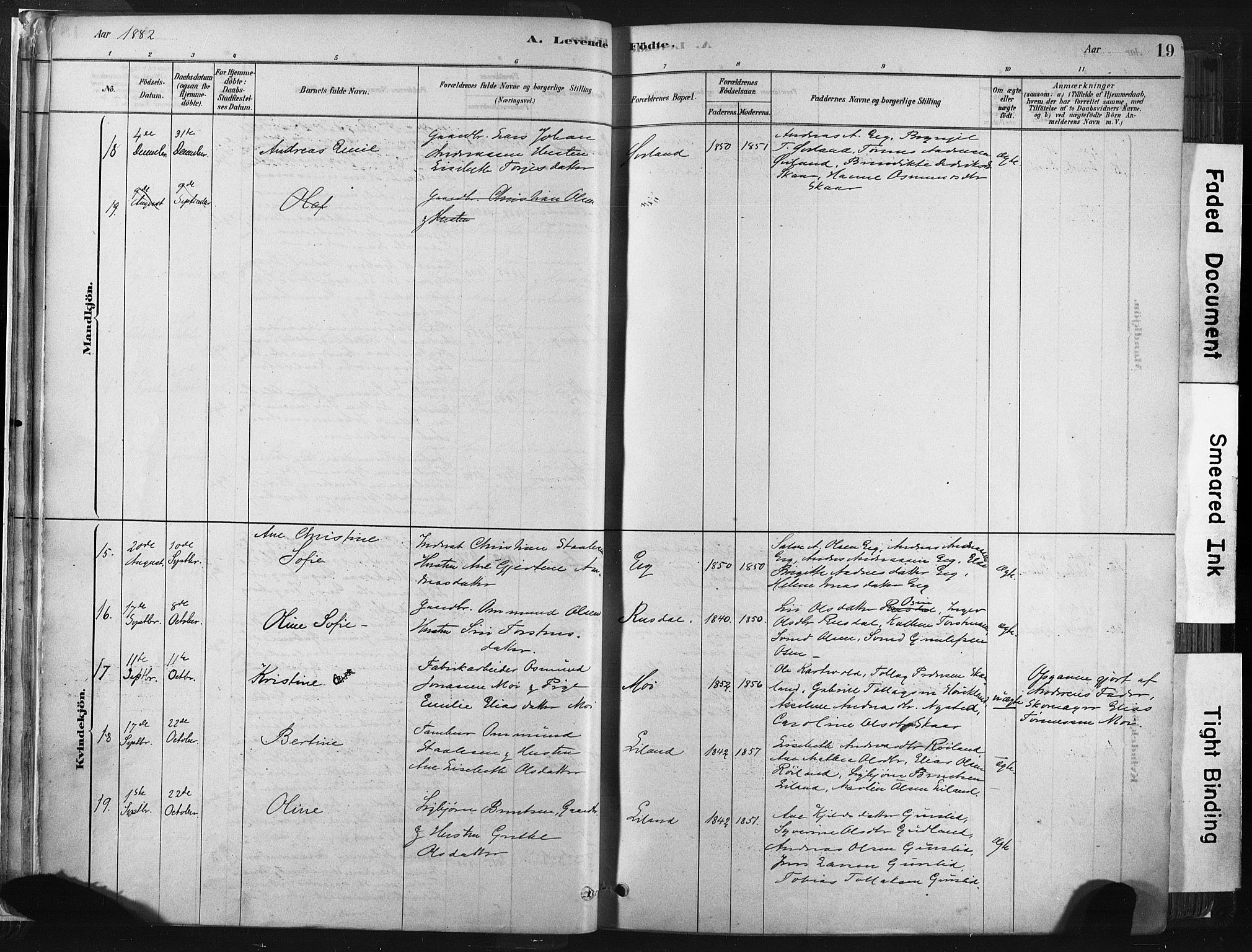 Lund sokneprestkontor, AV/SAST-A-101809/S06/L0011: Parish register (official) no. A 10, 1877-1904, p. 19