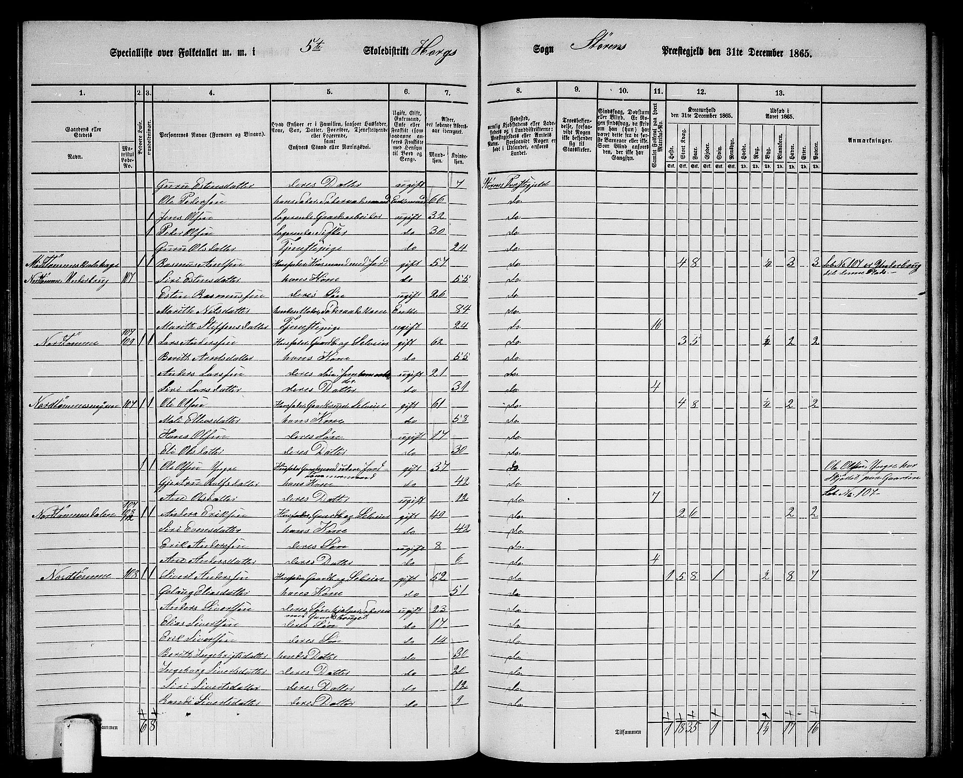 RA, 1865 census for Støren, 1865, p. 190