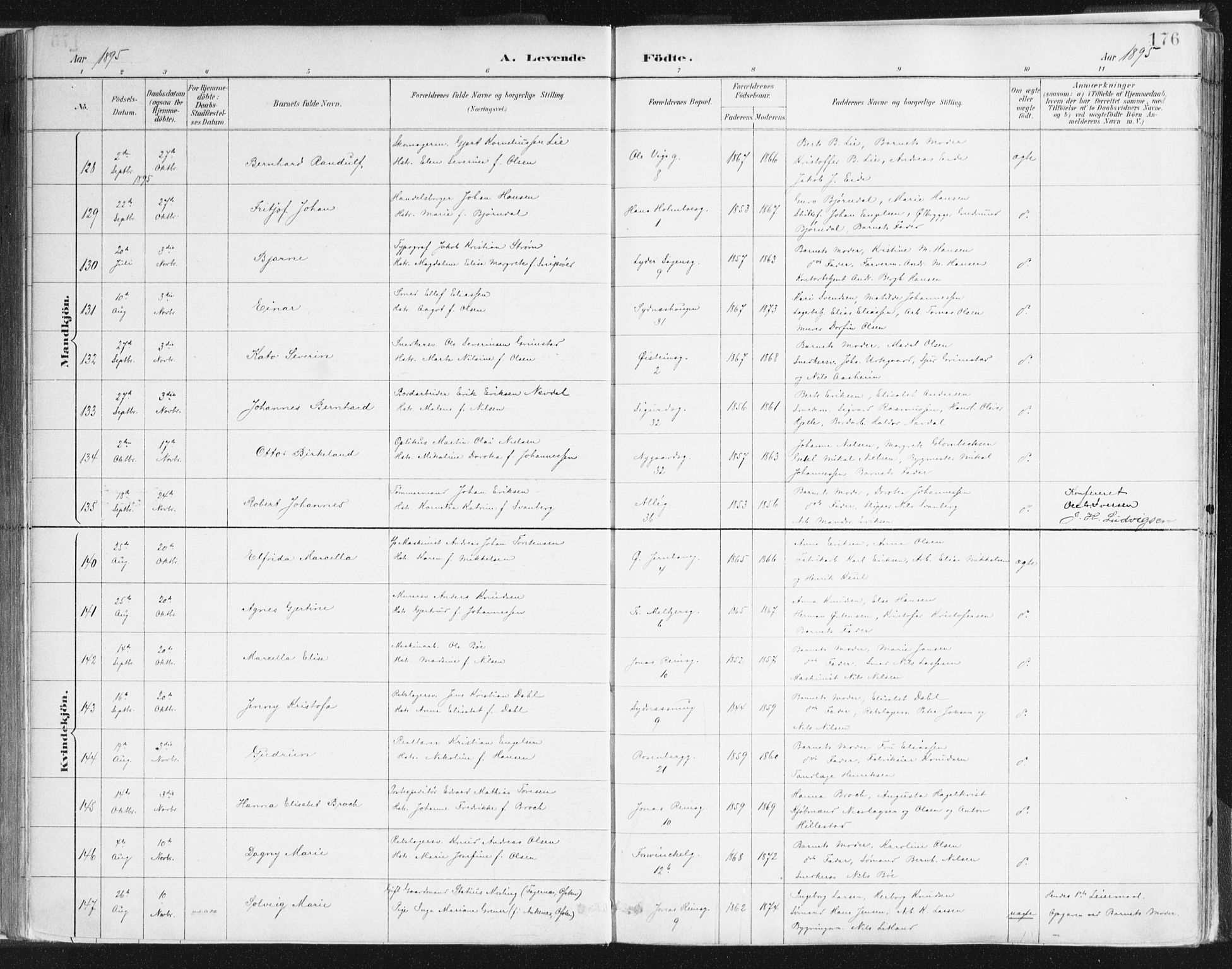 Johanneskirken sokneprestembete, AV/SAB-A-76001/H/Haa/L0001: Parish register (official) no. A 1, 1885-1900, p. 176