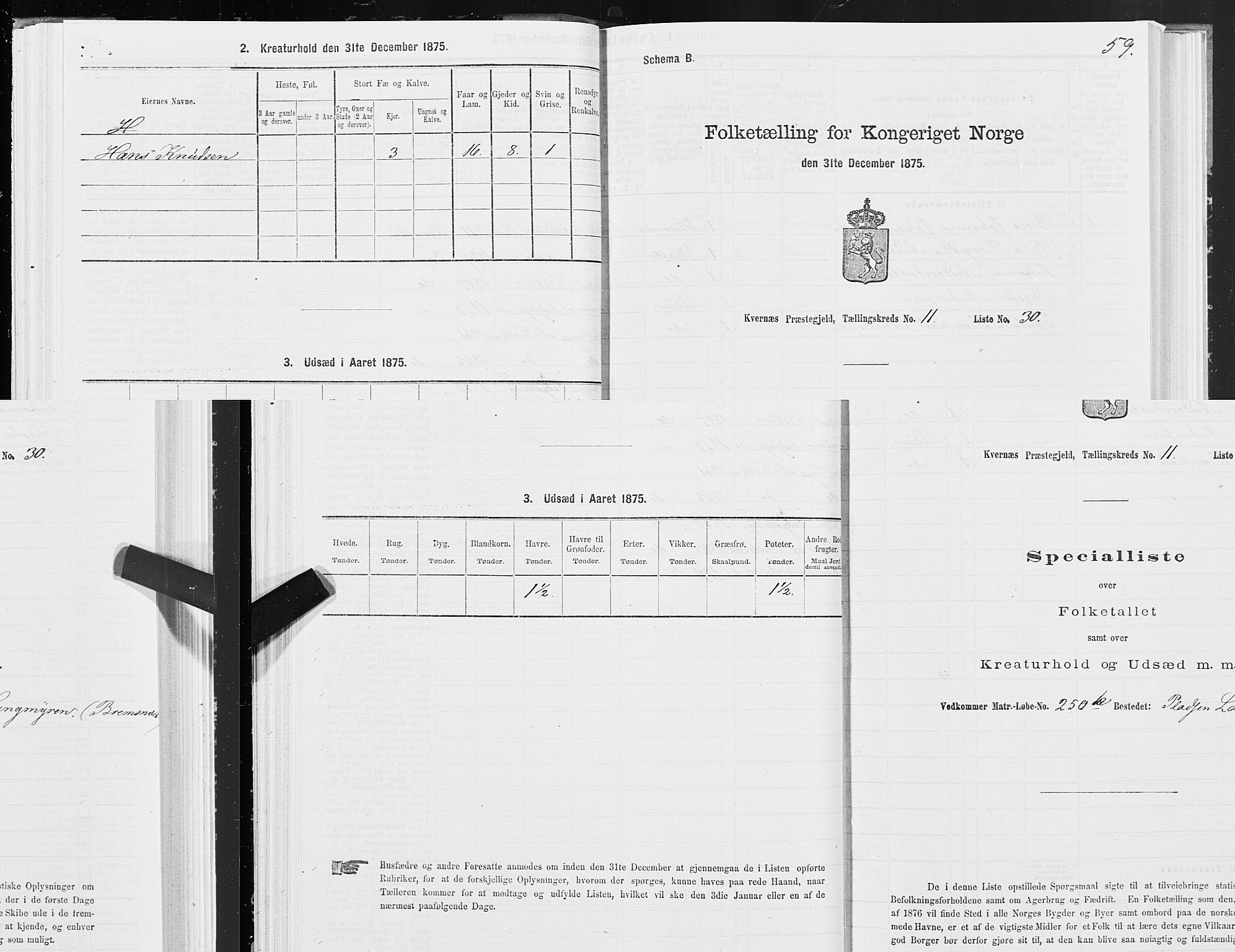 SAT, 1875 census for 1553P Kvernes, 1875, p. 6059