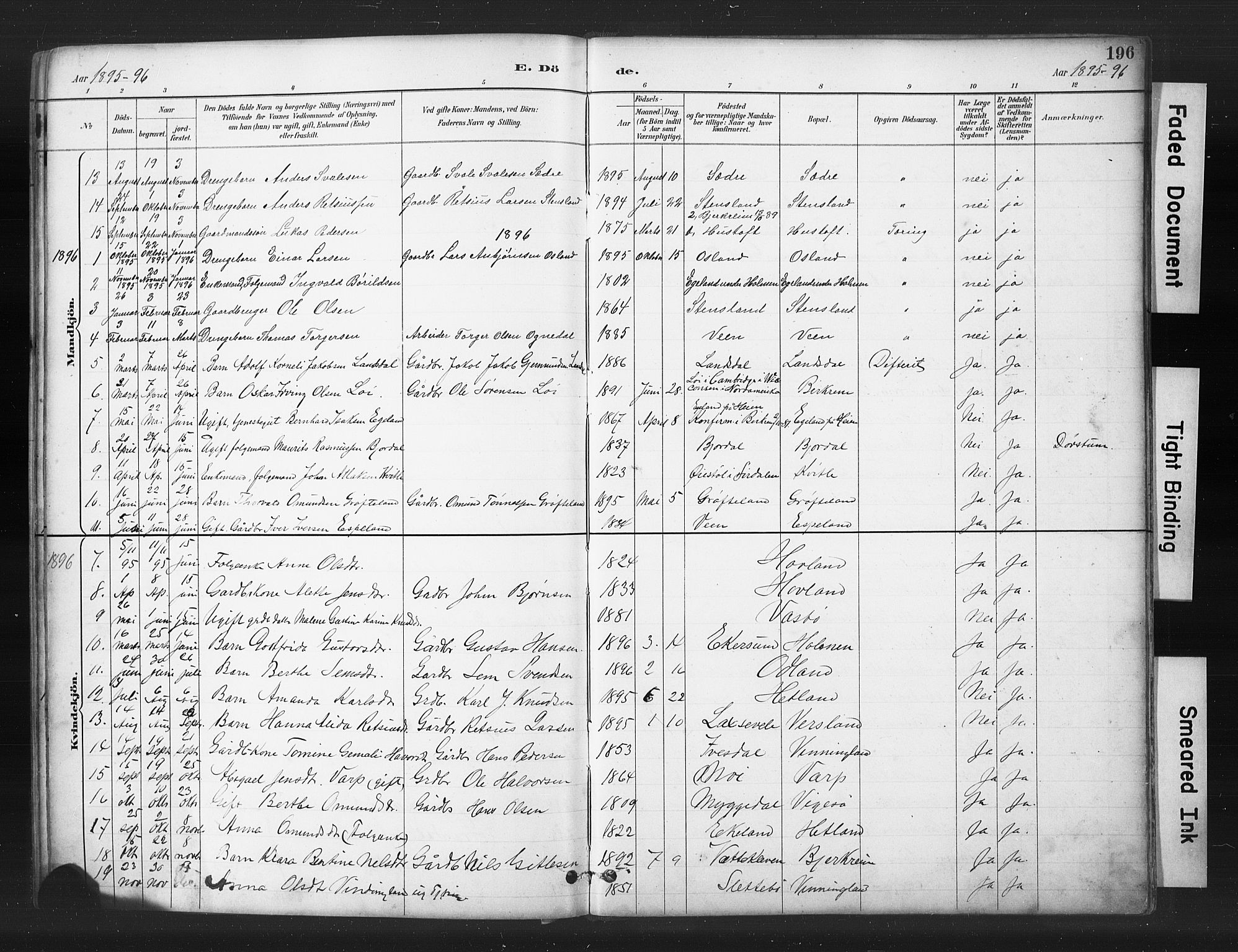 Helleland sokneprestkontor, AV/SAST-A-101810: Parish register (copy) no. B 5, 1887-1908, p. 196