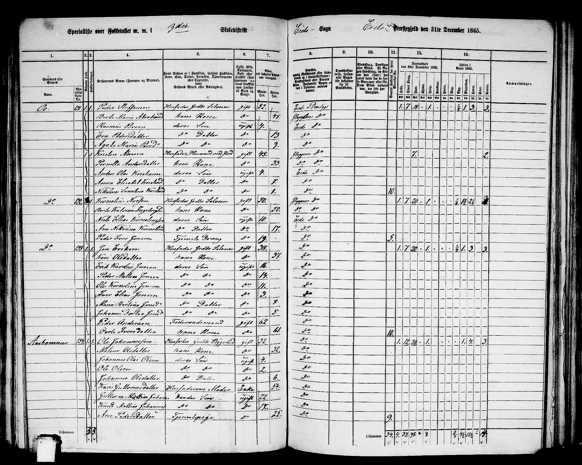 RA, 1865 census for Eid, 1865, p. 125