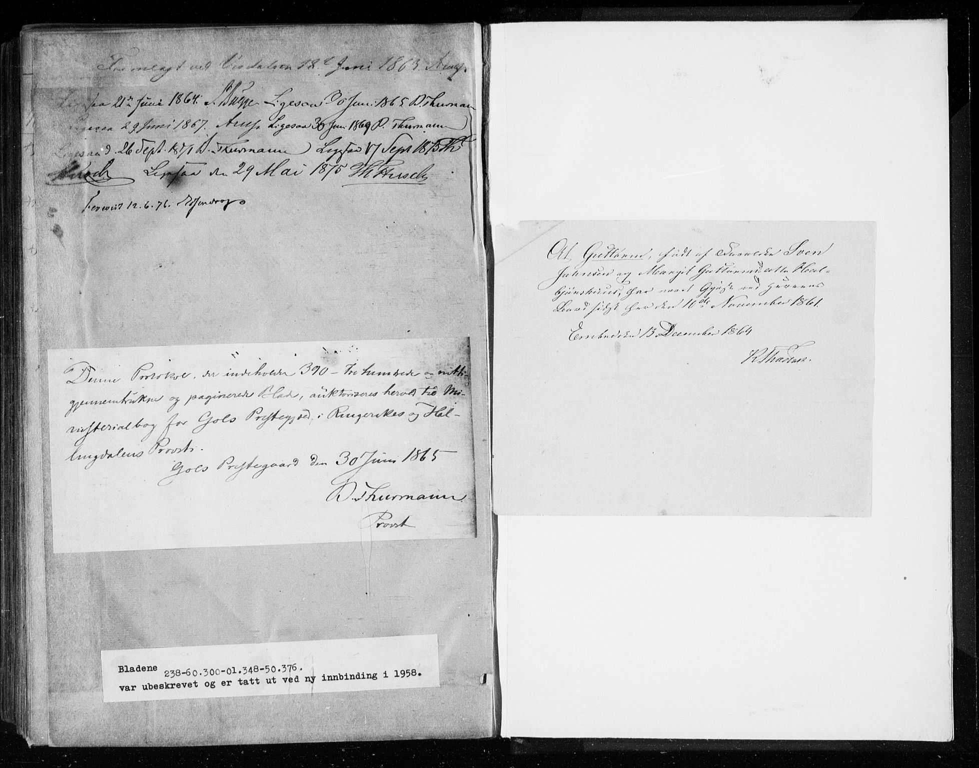 Gol kirkebøker, AV/SAKO-A-226/F/Fa/L0003: Parish register (official) no. I 3, 1863-1875