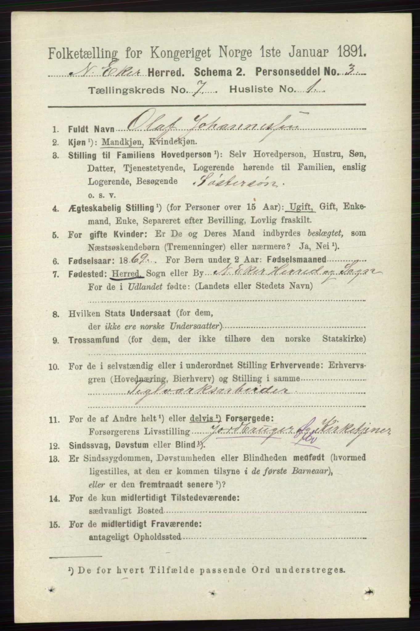 RA, 1891 census for 0625 Nedre Eiker, 1891, p. 3407