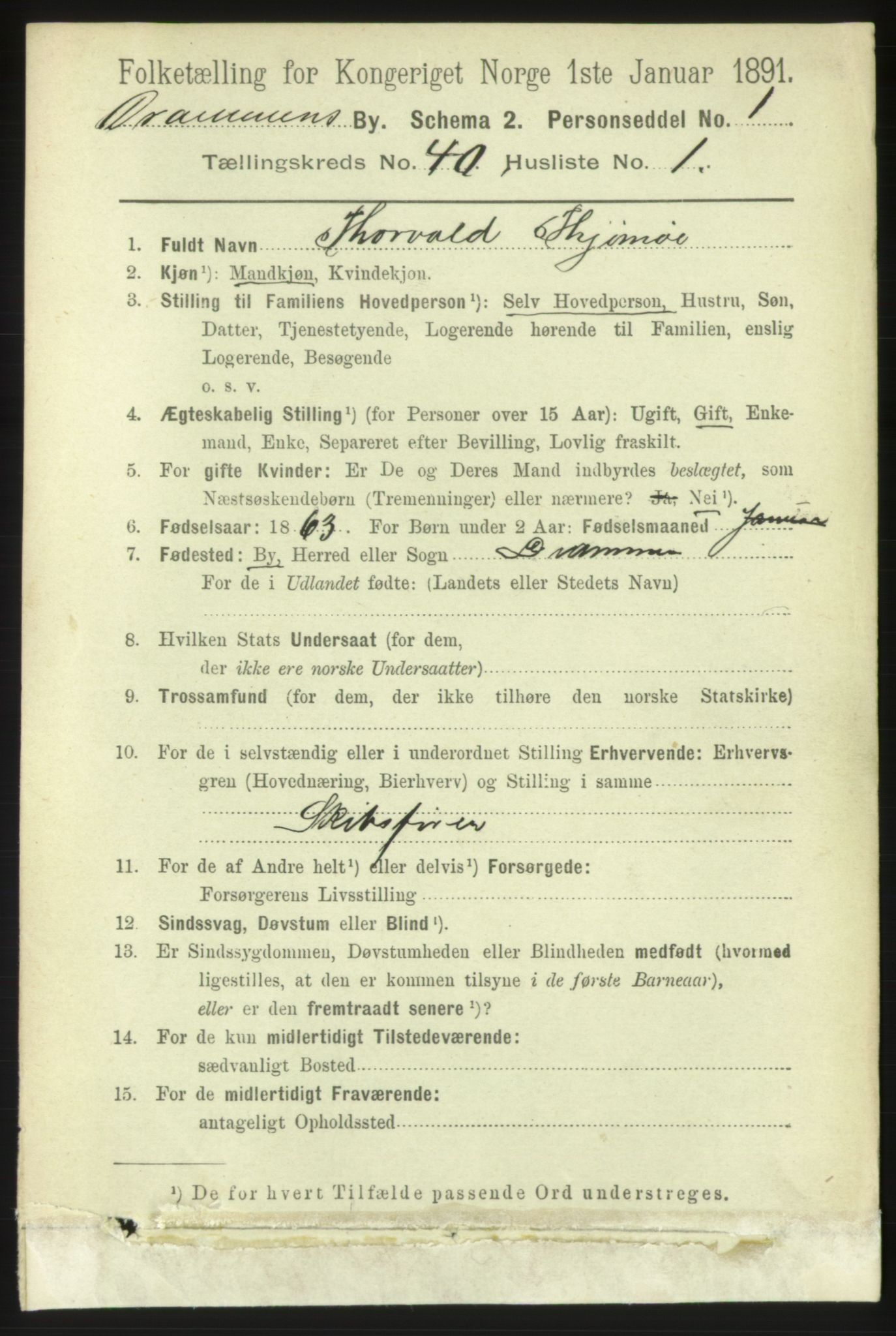 RA, 1891 census for 0602 Drammen, 1891, p. 23700