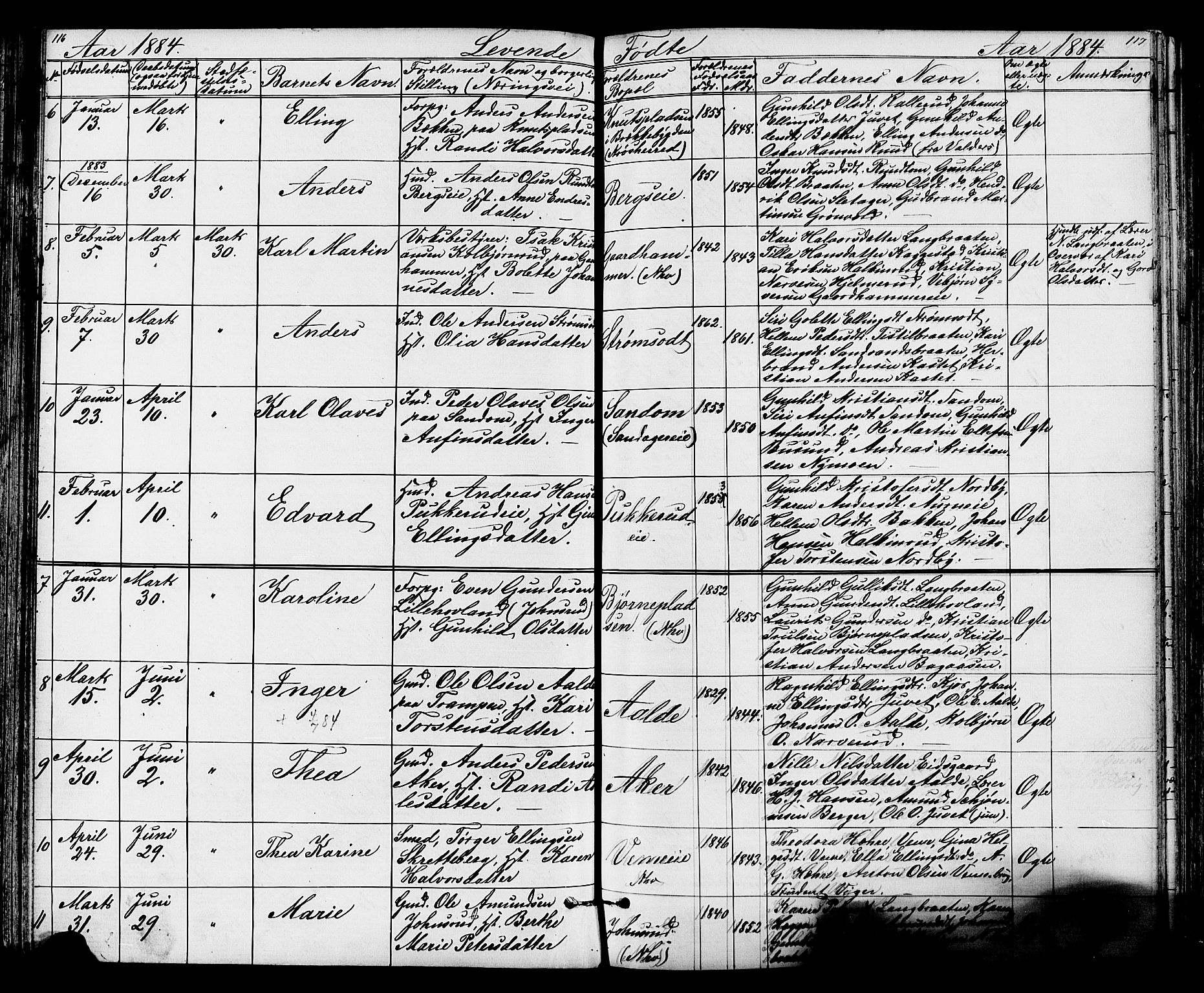 Lunder kirkebøker, AV/SAKO-A-629/G/Ga/L0003a: Parish register (copy) no. I 3, 1869-1888, p. 116-117