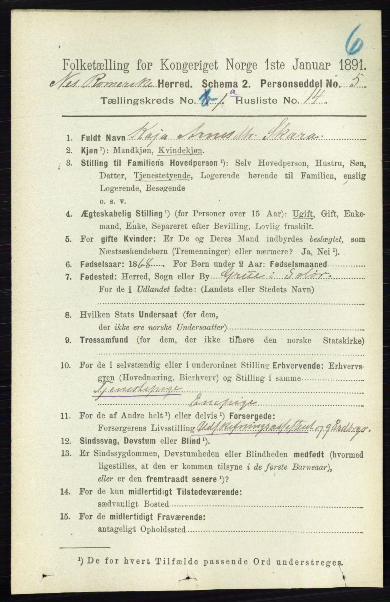 RA, 1891 census for 0236 Nes, 1891, p. 204