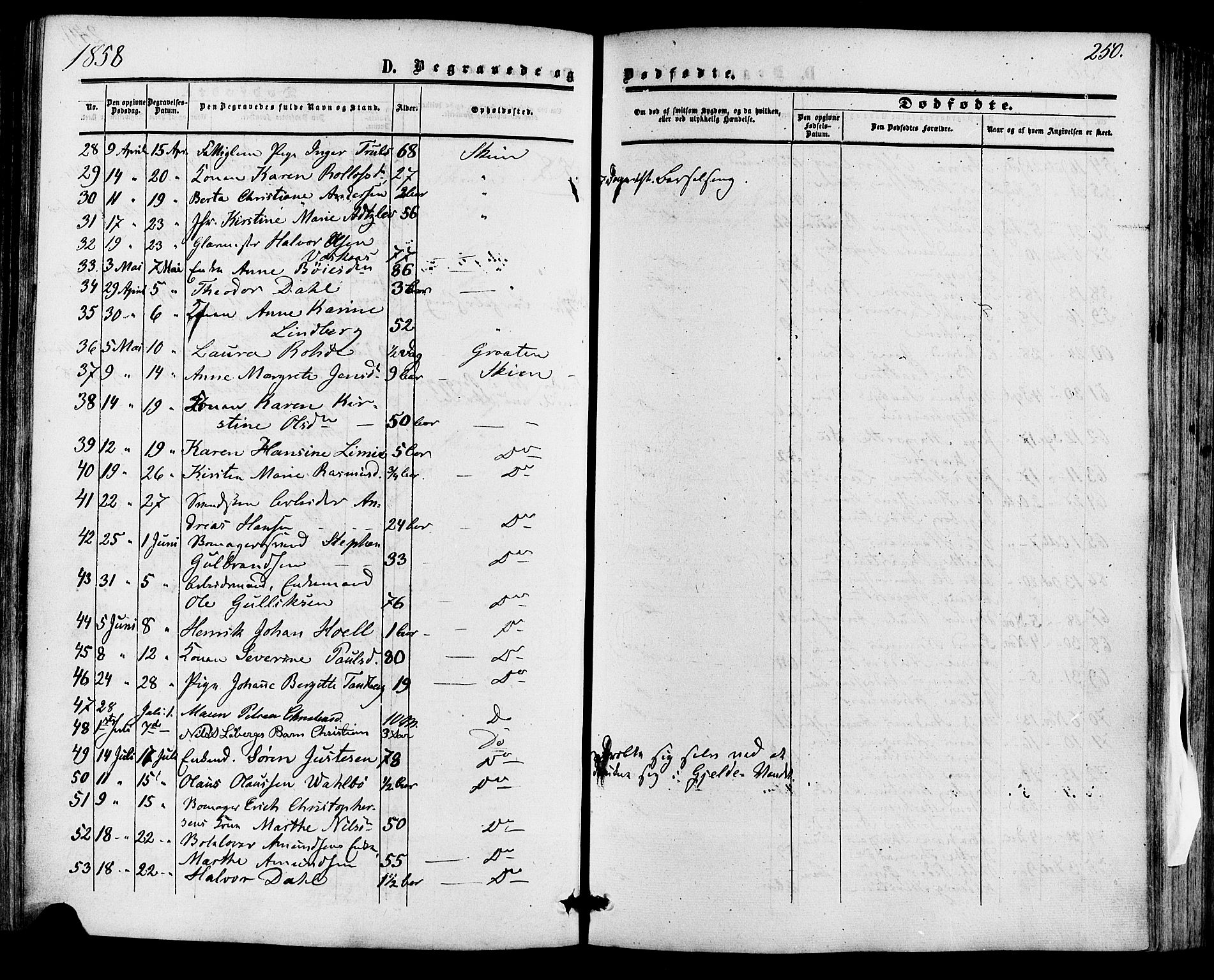 Skien kirkebøker, SAKO/A-302/F/Fa/L0007: Parish register (official) no. 7, 1856-1865, p. 250