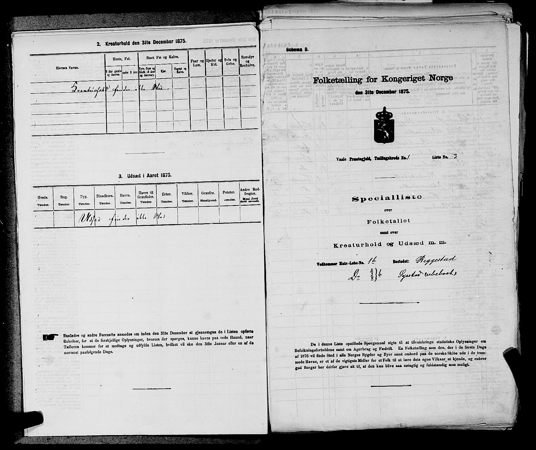 SAKO, 1875 census for 0716P Våle, 1875, p. 41