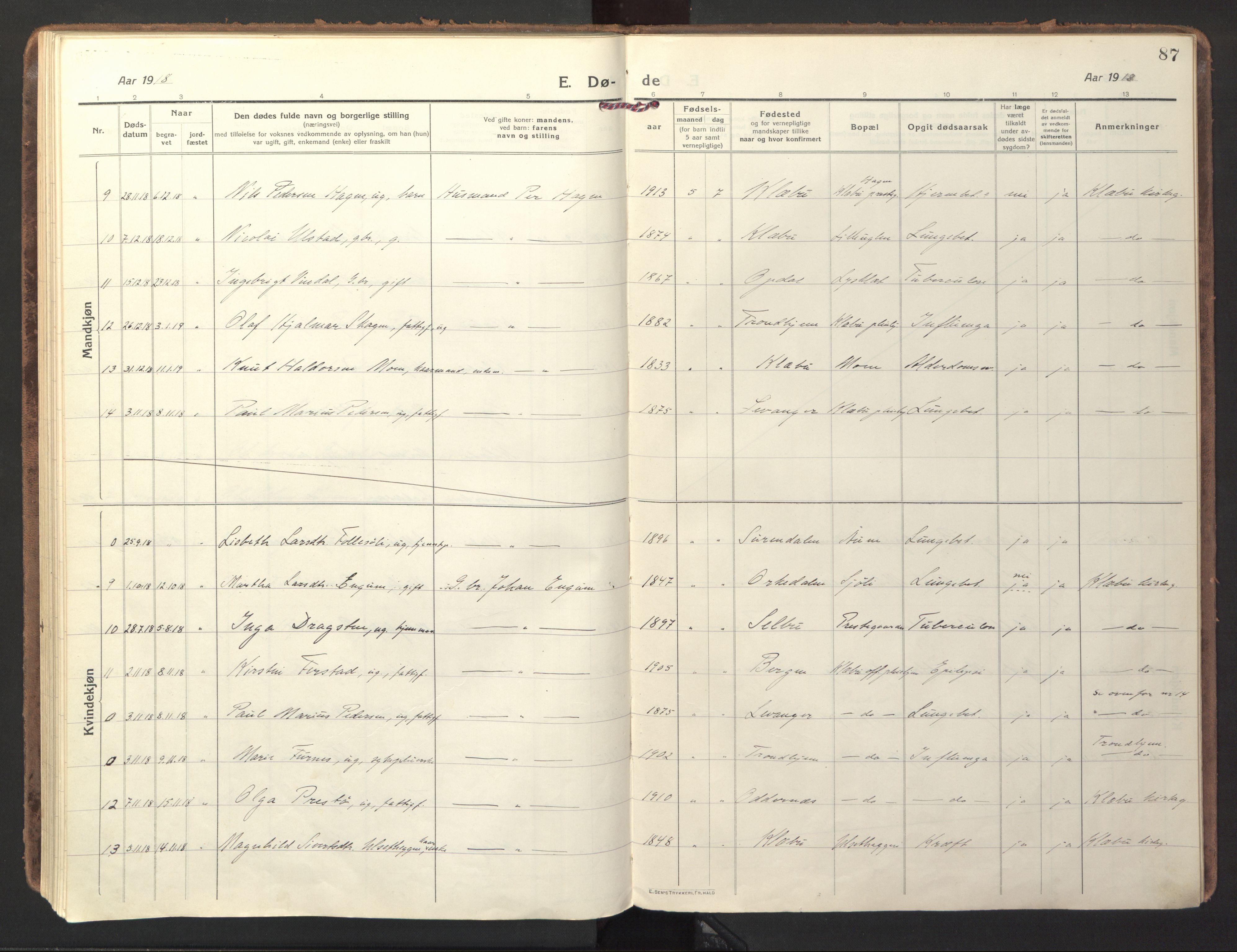 Ministerialprotokoller, klokkerbøker og fødselsregistre - Sør-Trøndelag, AV/SAT-A-1456/618/L0449: Parish register (official) no. 618A12, 1917-1924, p. 87