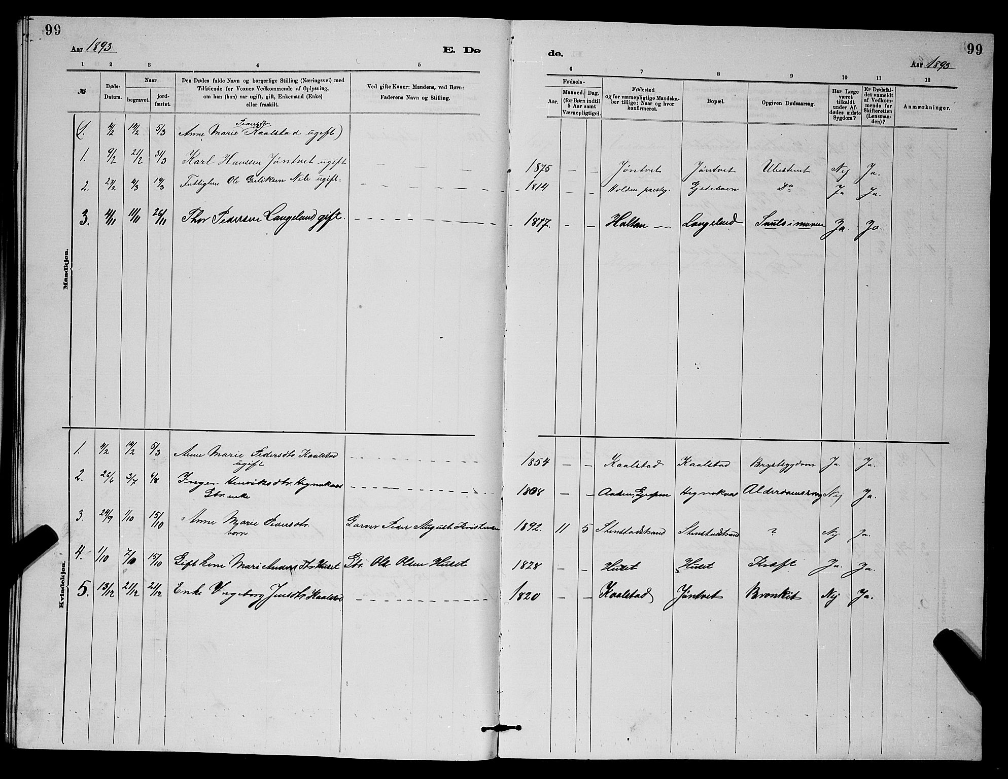 Holla kirkebøker, SAKO/A-272/G/Gb/L0001: Parish register (copy) no. II 1, 1882-1897, p. 99