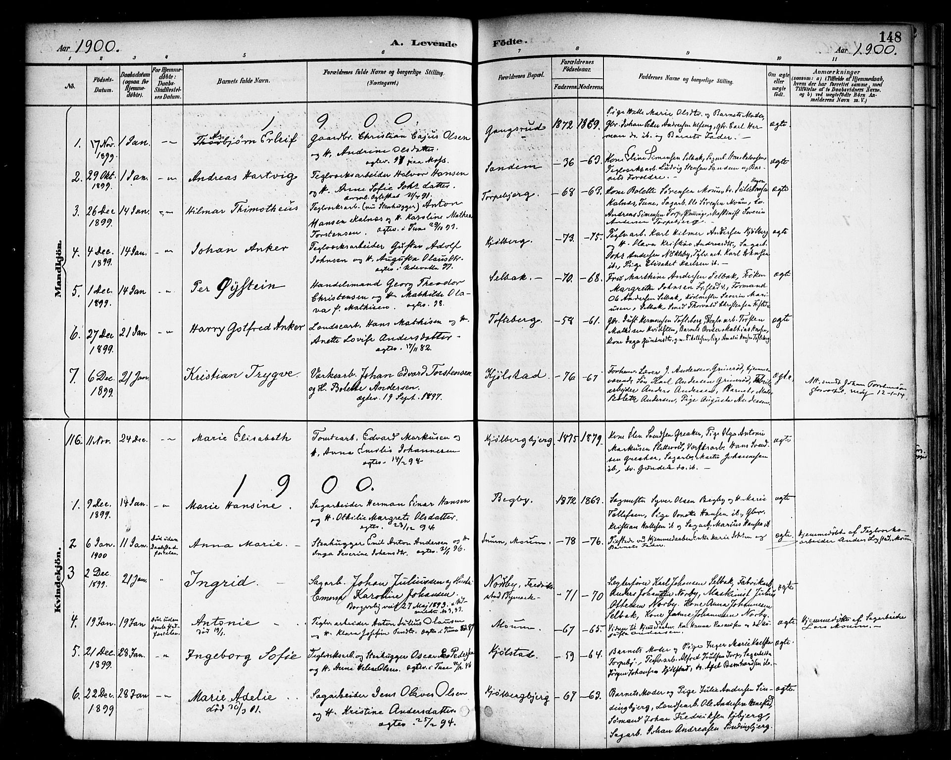 Borge prestekontor Kirkebøker, SAO/A-10903/F/Fa/L0008: Parish register (official) no. I 8A, 1887-1902, p. 148
