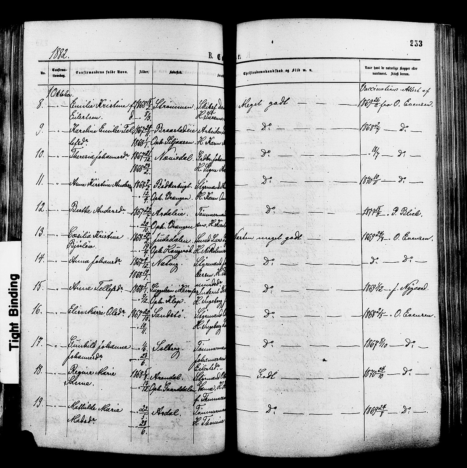 Øyestad sokneprestkontor, AV/SAK-1111-0049/F/Fa/L0016: Parish register (official) no. A 16, 1874-1886, p. 253