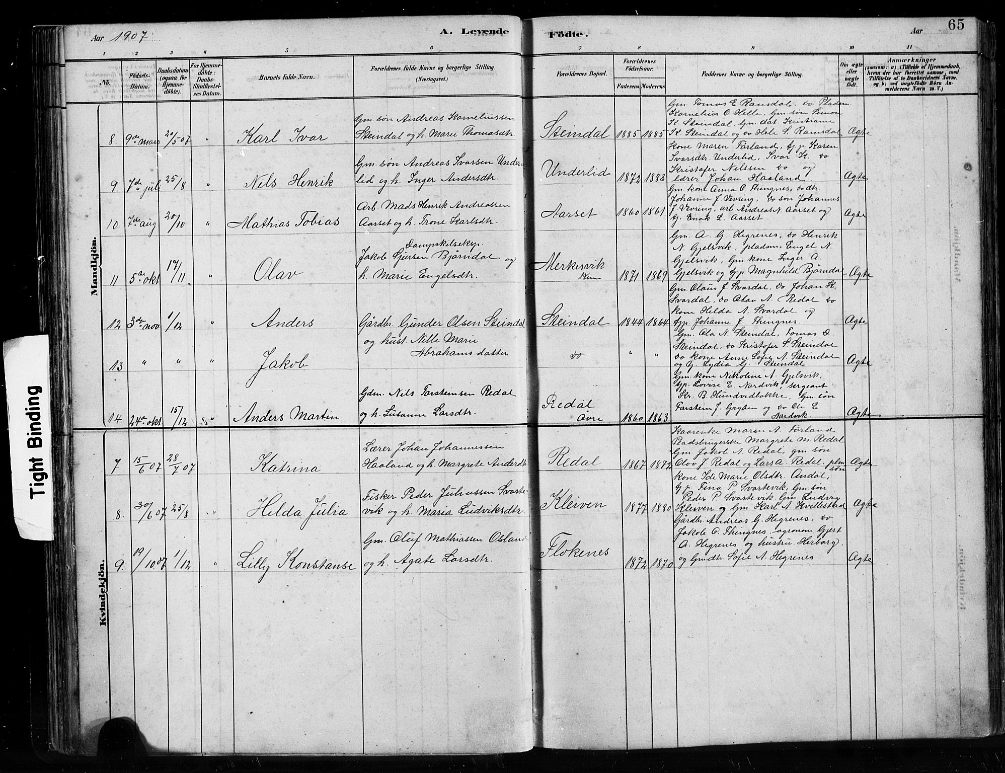 Førde sokneprestembete, SAB/A-79901/H/Hab/Habe/L0001: Parish register (copy) no. E 1, 1881-1920, p. 65