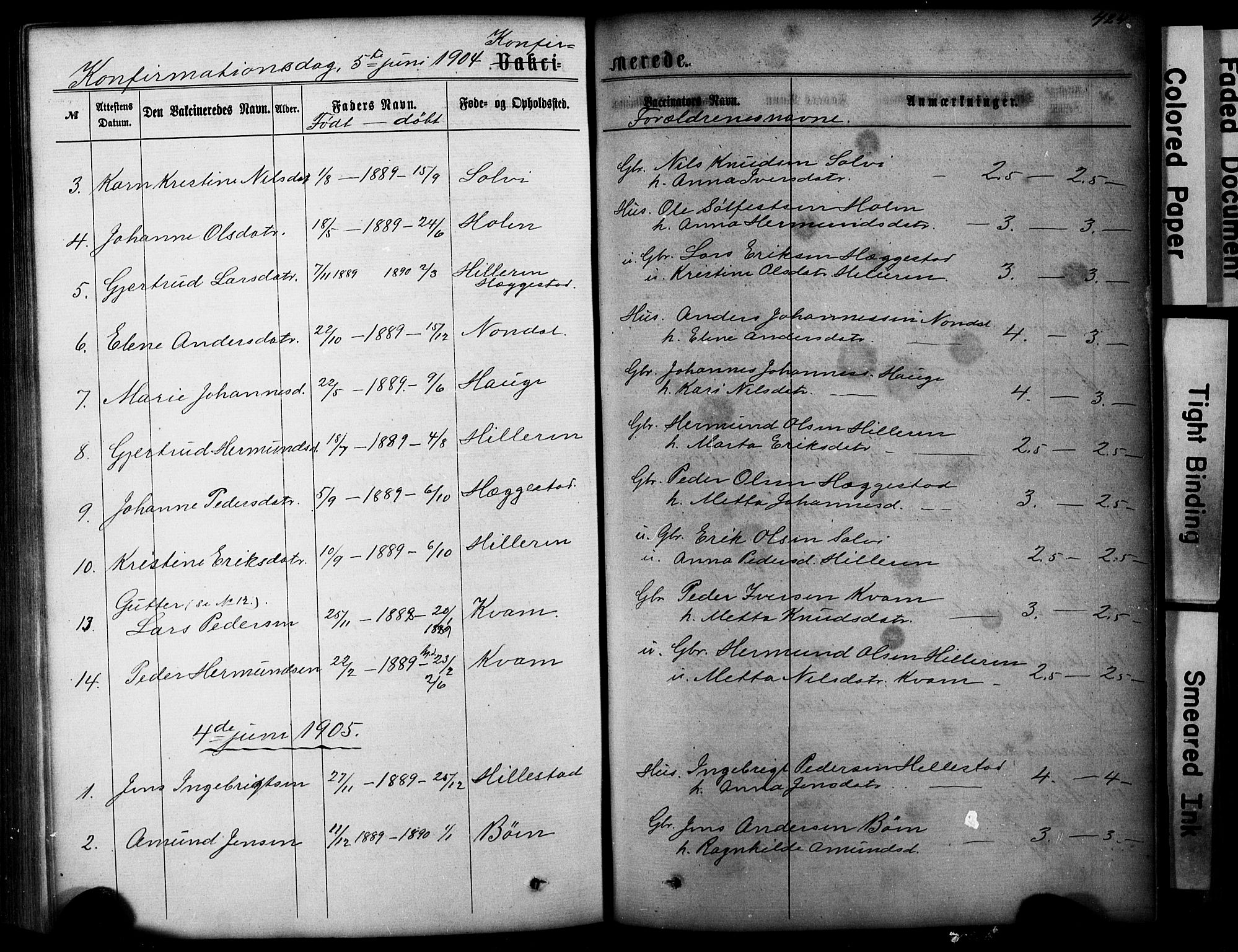 Hafslo sokneprestembete, AV/SAB-A-80301/H/Hab/Haba/L0001: Parish register (copy) no. A 1, 1866-1908, p. 424