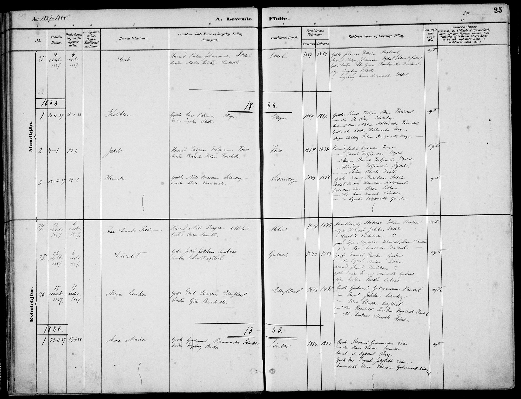 Skjold sokneprestkontor, AV/SAST-A-101847/H/Ha/Haa/L0010: Parish register (official) no. A 10, 1882-1897, p. 25