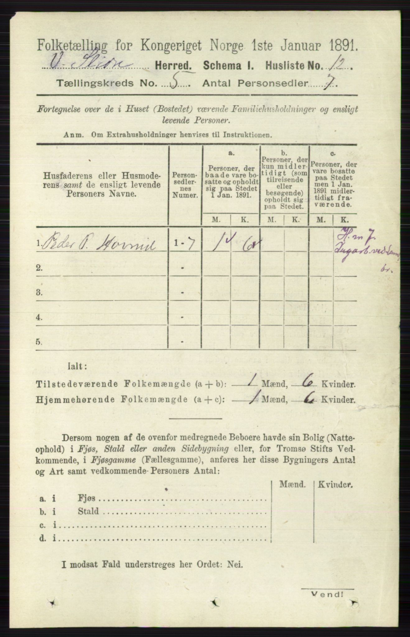 RA, 1891 census for 0543 Vestre Slidre, 1891, p. 1700