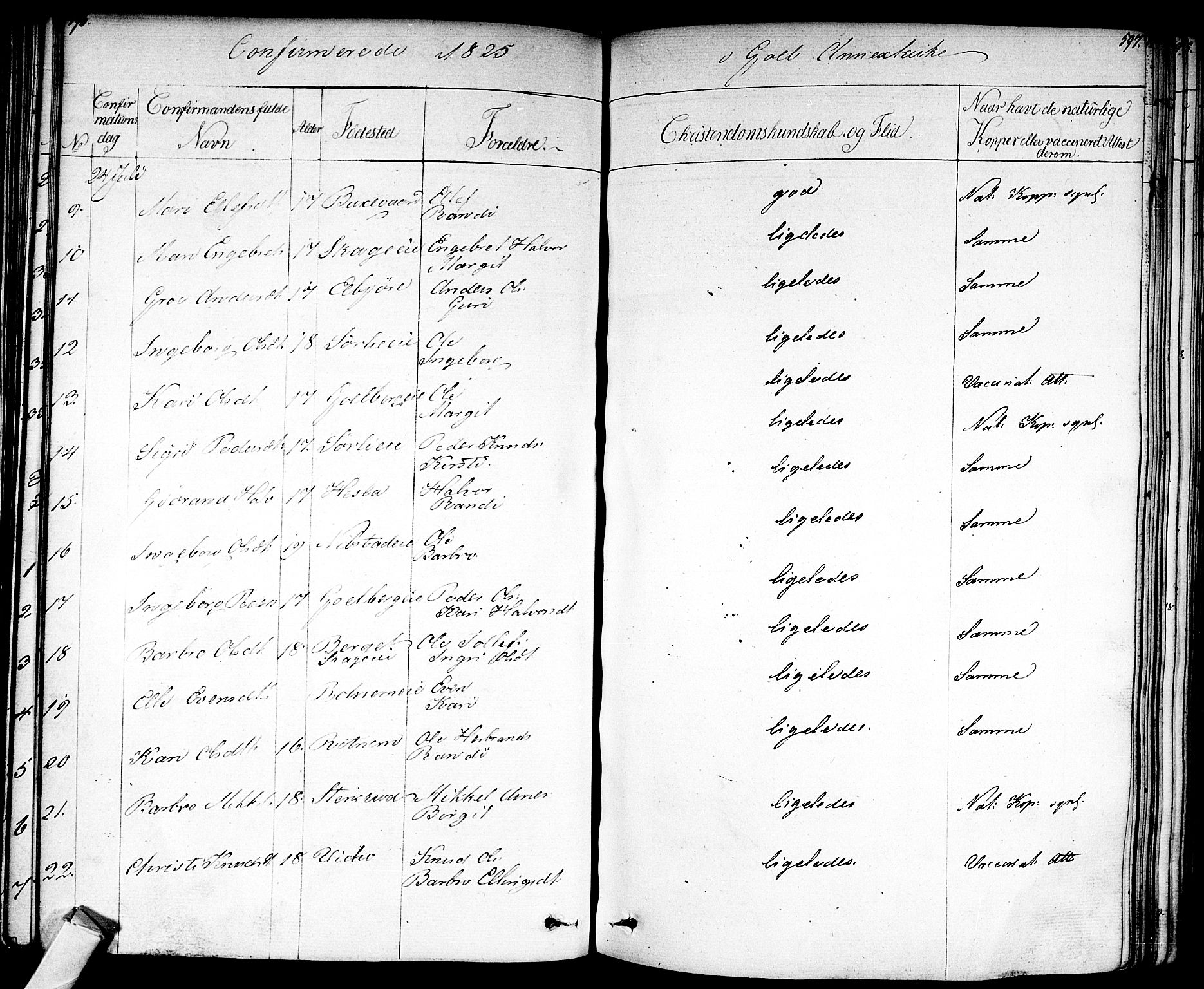 Nes kirkebøker, AV/SAKO-A-236/F/Fa/L0008: Parish register (official) no. 8, 1824-1834, p. 596-597