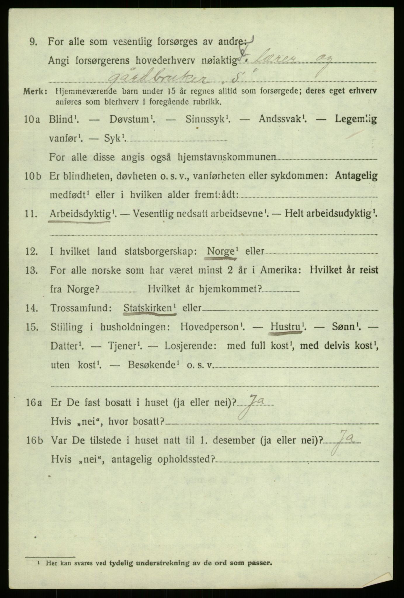 SAB, 1920 census for Hafslo, 1920, p. 5651