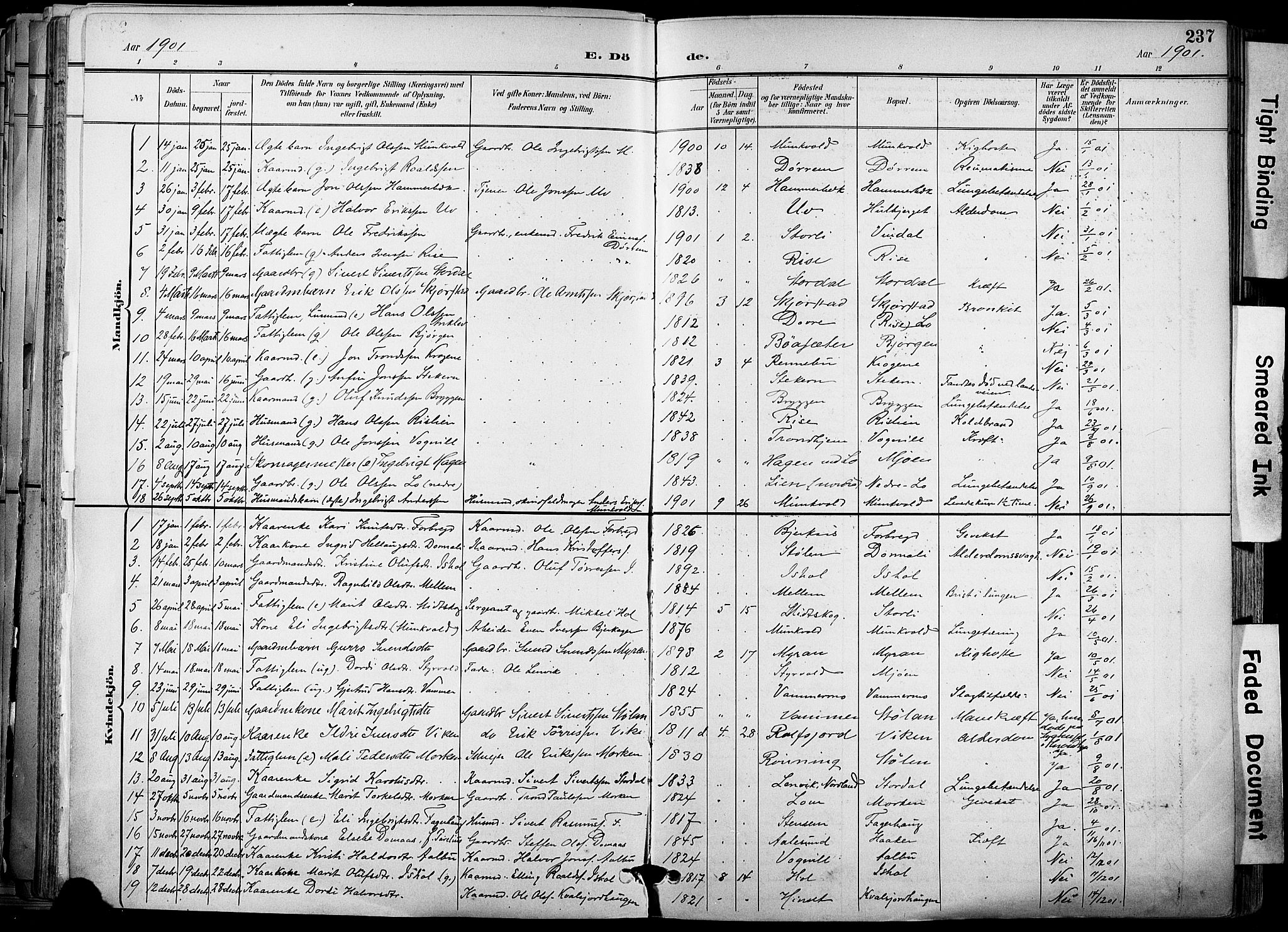 Ministerialprotokoller, klokkerbøker og fødselsregistre - Sør-Trøndelag, AV/SAT-A-1456/678/L0902: Parish register (official) no. 678A11, 1895-1911, p. 237