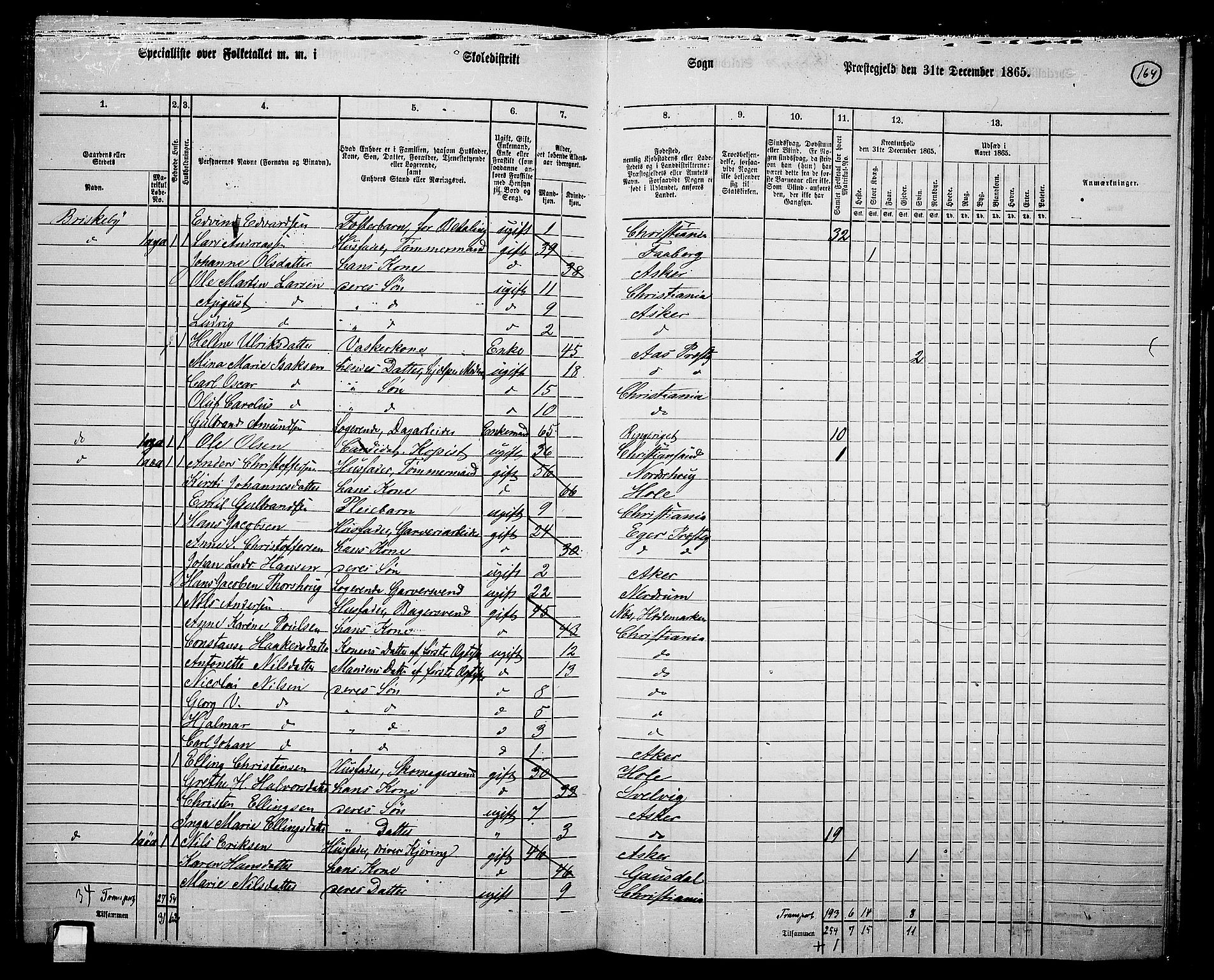 RA, 1865 census for Vestre Aker, 1865, p. 329