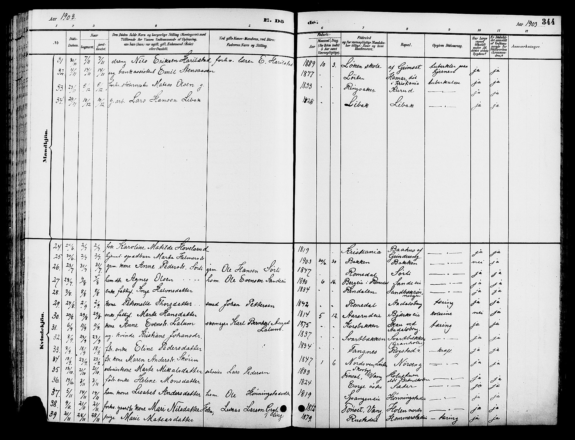 Løten prestekontor, AV/SAH-PREST-022/L/La/L0006: Parish register (copy) no. 6, 1892-1909, p. 344