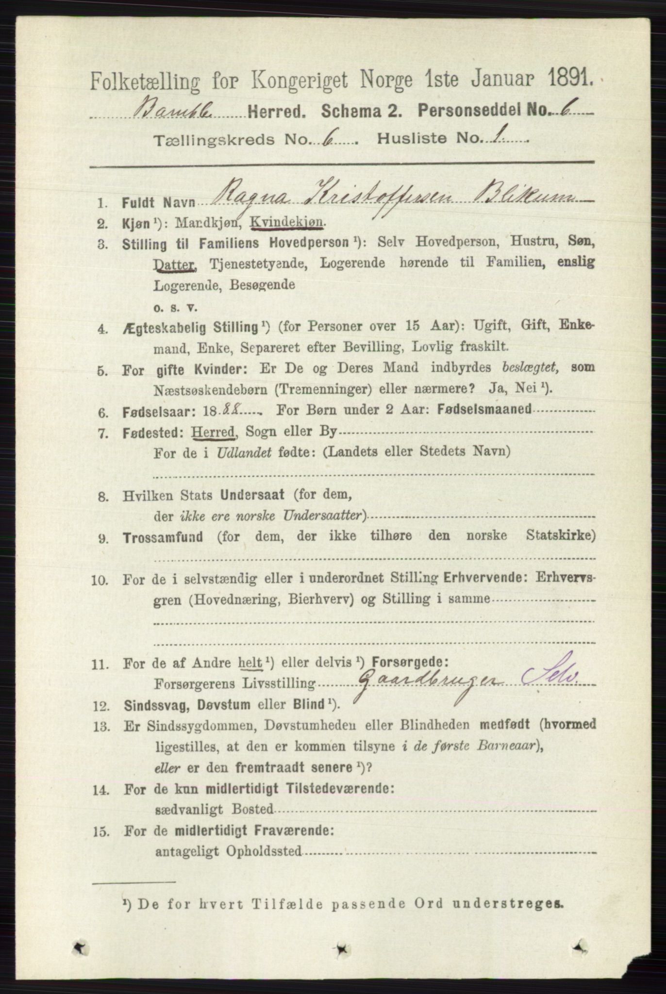 RA, 1891 census for 0814 Bamble, 1891, p. 2699