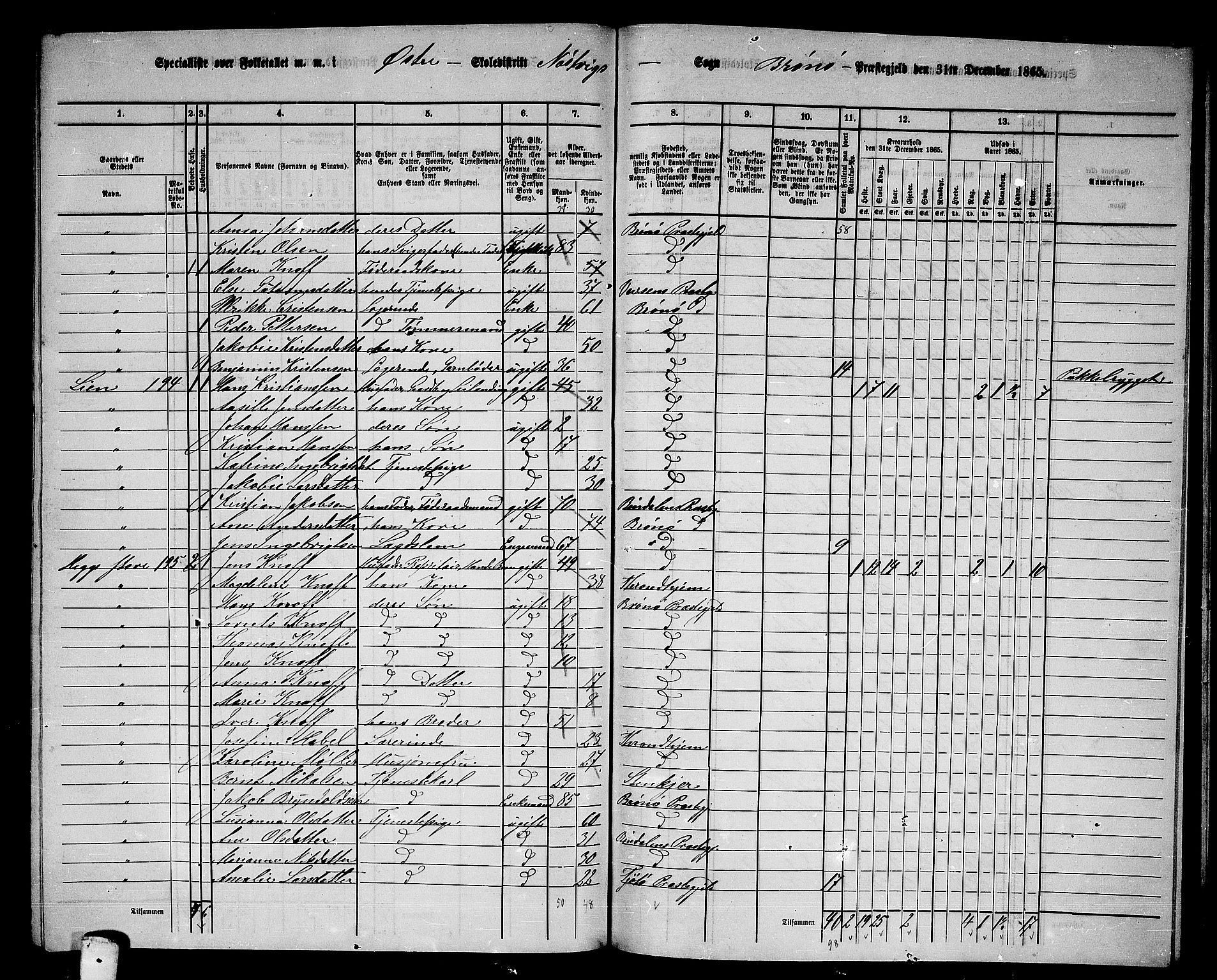 RA, 1865 census for Brønnøy, 1865, p. 196