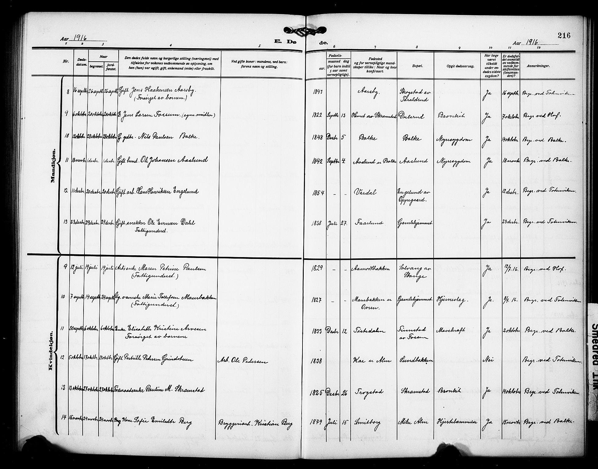 Østre Toten prestekontor, AV/SAH-PREST-104/H/Ha/Hab/L0008: Parish register (copy) no. 8, 1913-1929, p. 216