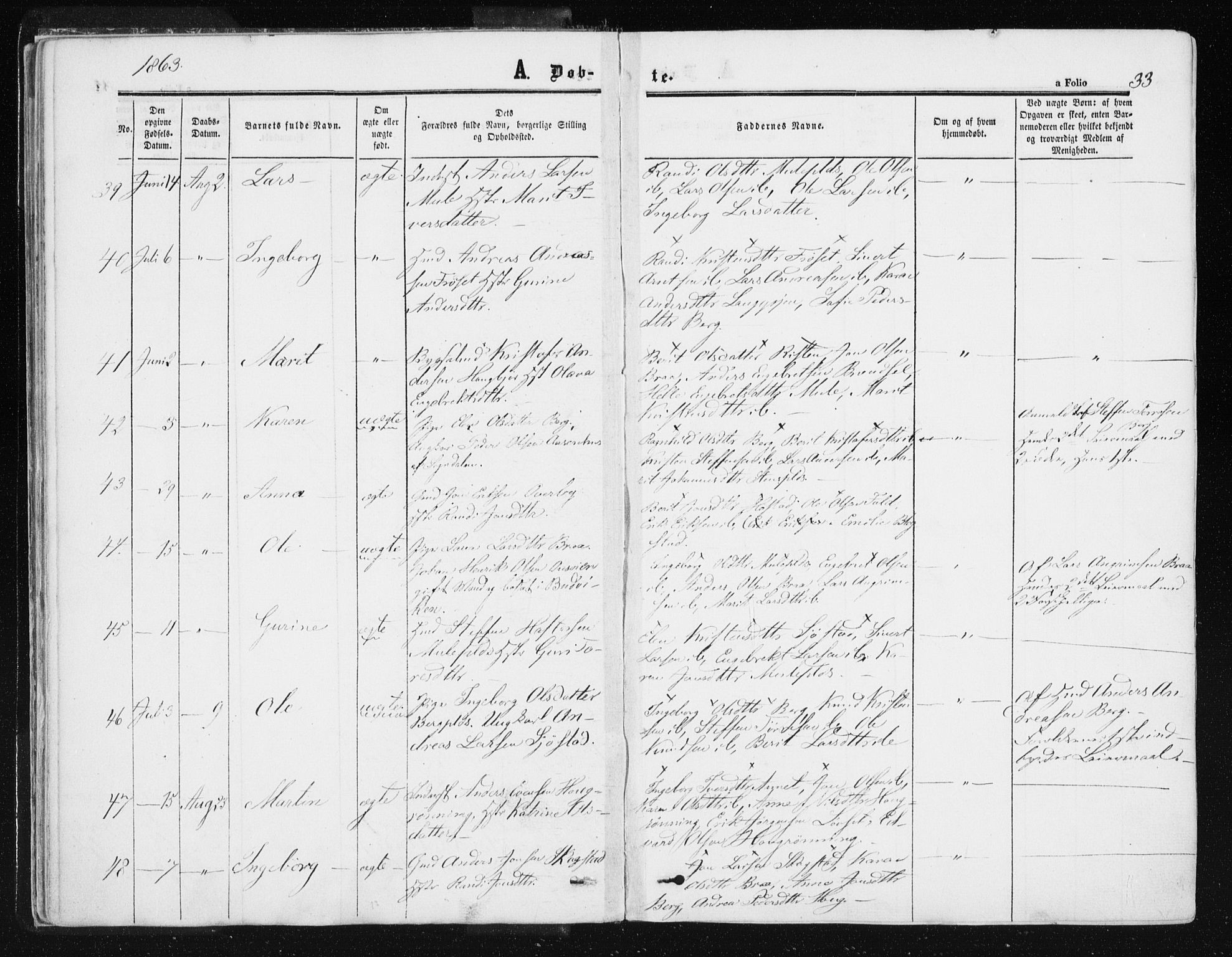 Ministerialprotokoller, klokkerbøker og fødselsregistre - Sør-Trøndelag, SAT/A-1456/612/L0377: Parish register (official) no. 612A09, 1859-1877, p. 33