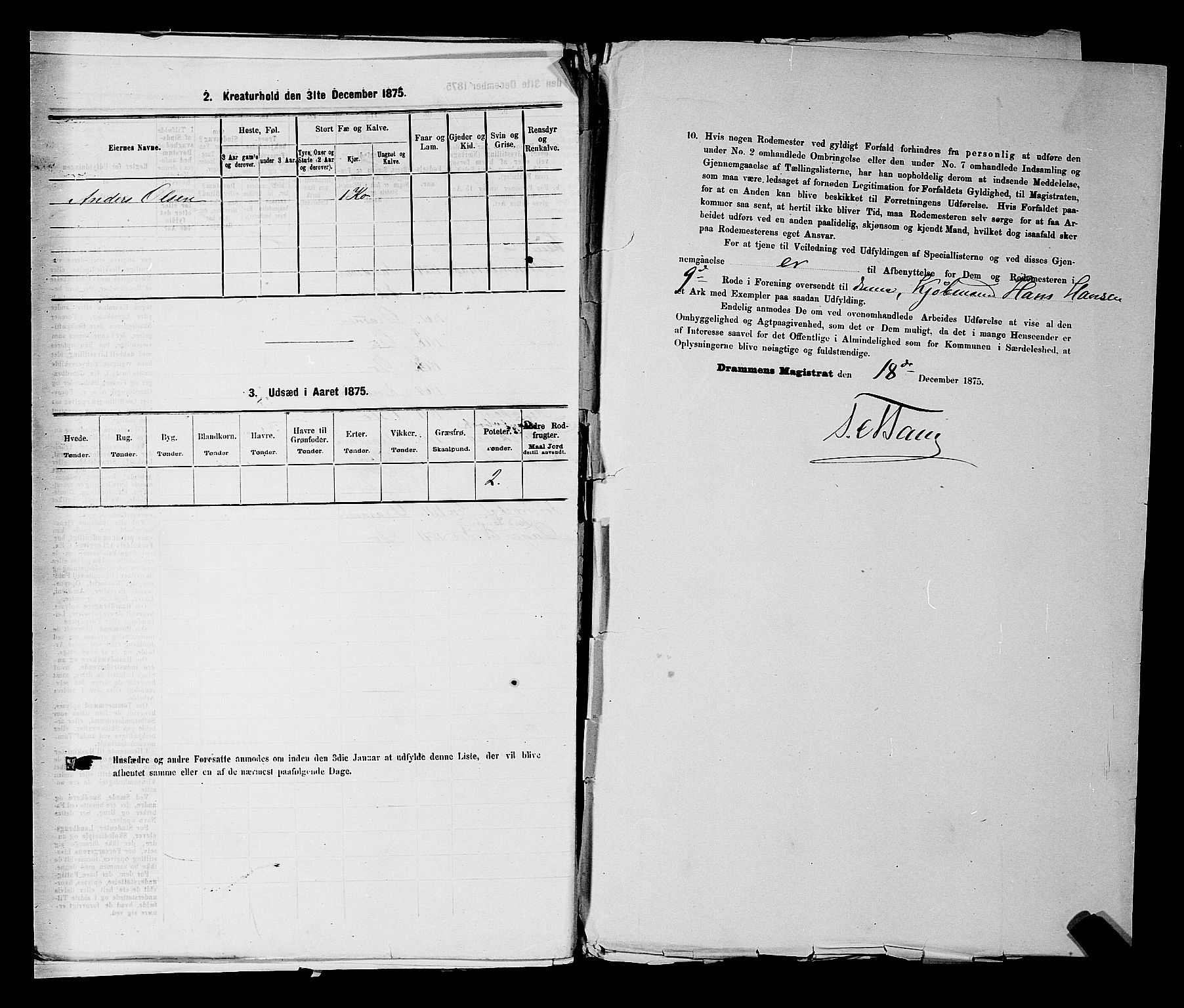 SAKO, 1875 census for 0602 Drammen, 1875, p. 1005