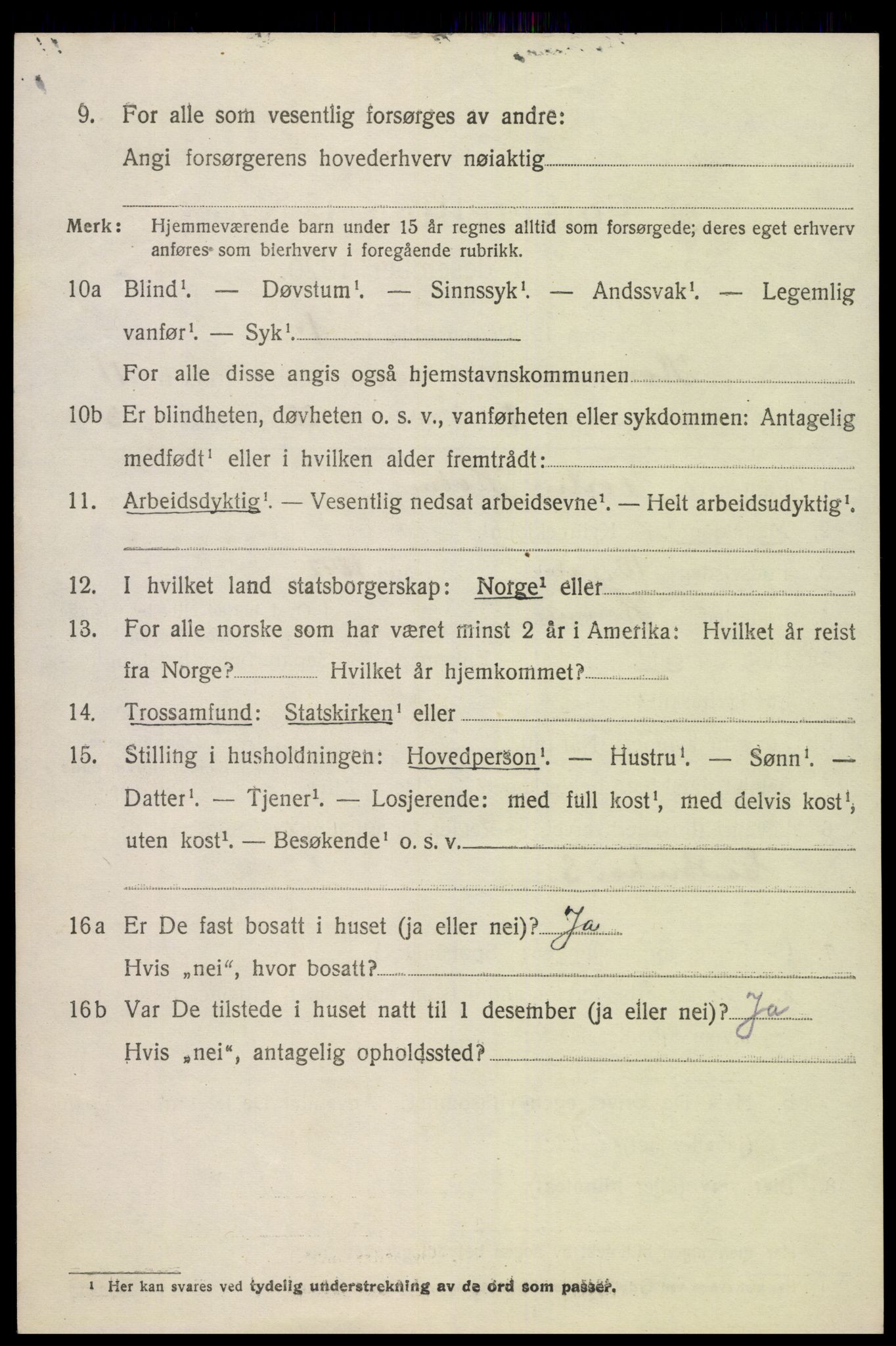 SAK, 1920 census for Hornnes, 1920, p. 2646