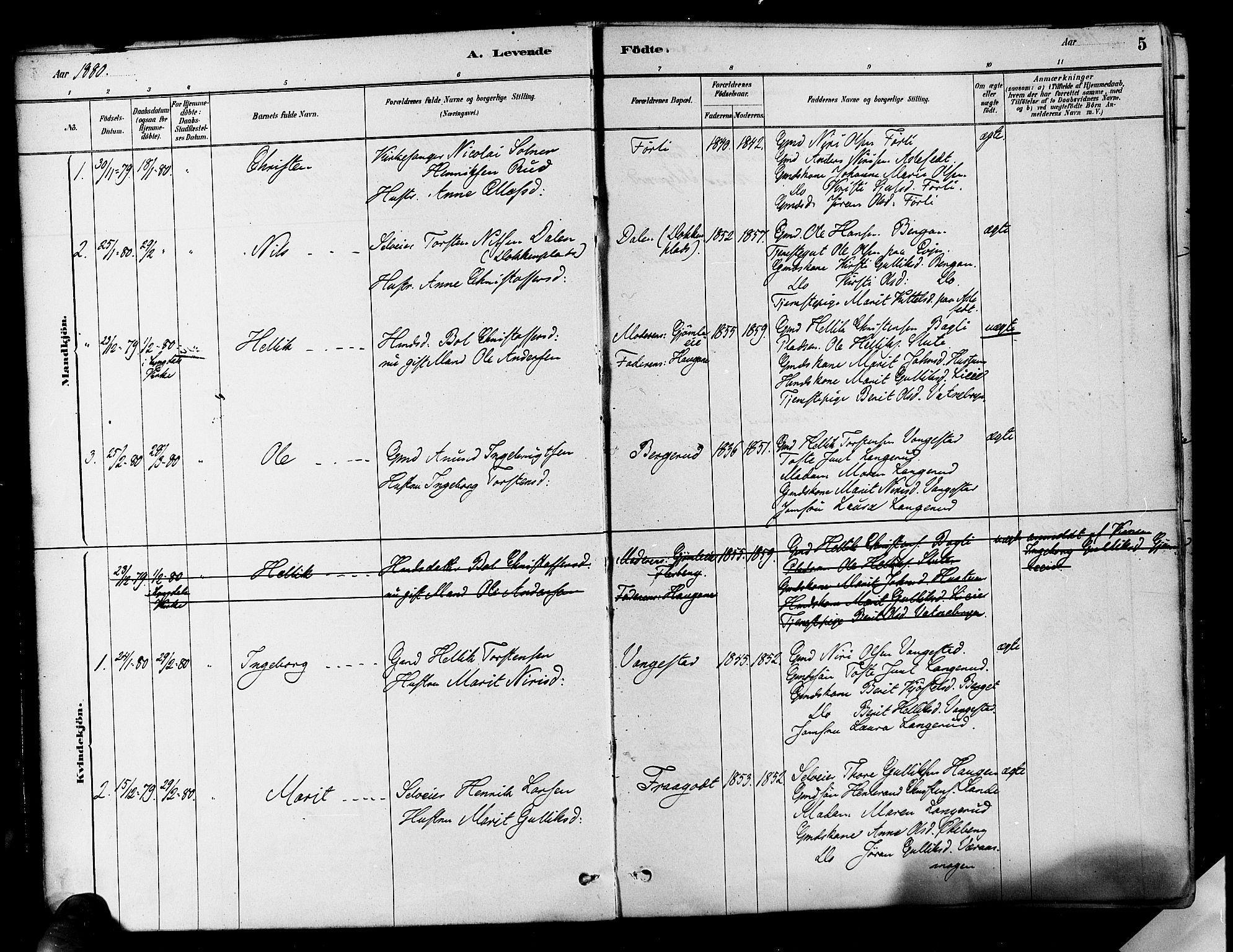 Flesberg kirkebøker, AV/SAKO-A-18/F/Fa/L0008: Parish register (official) no. I 8, 1879-1899, p. 5