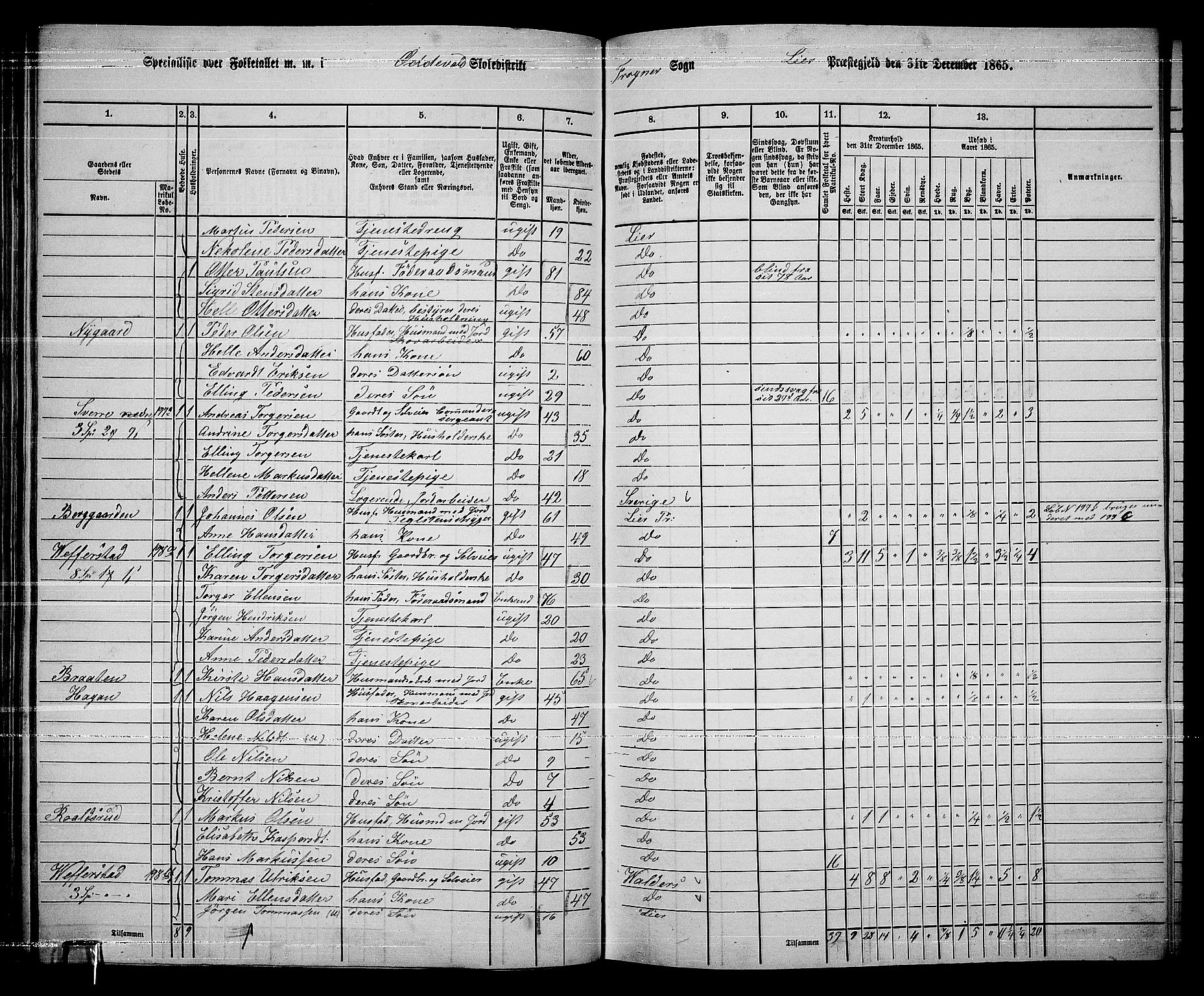 RA, 1865 census for Lier, 1865, p. 121