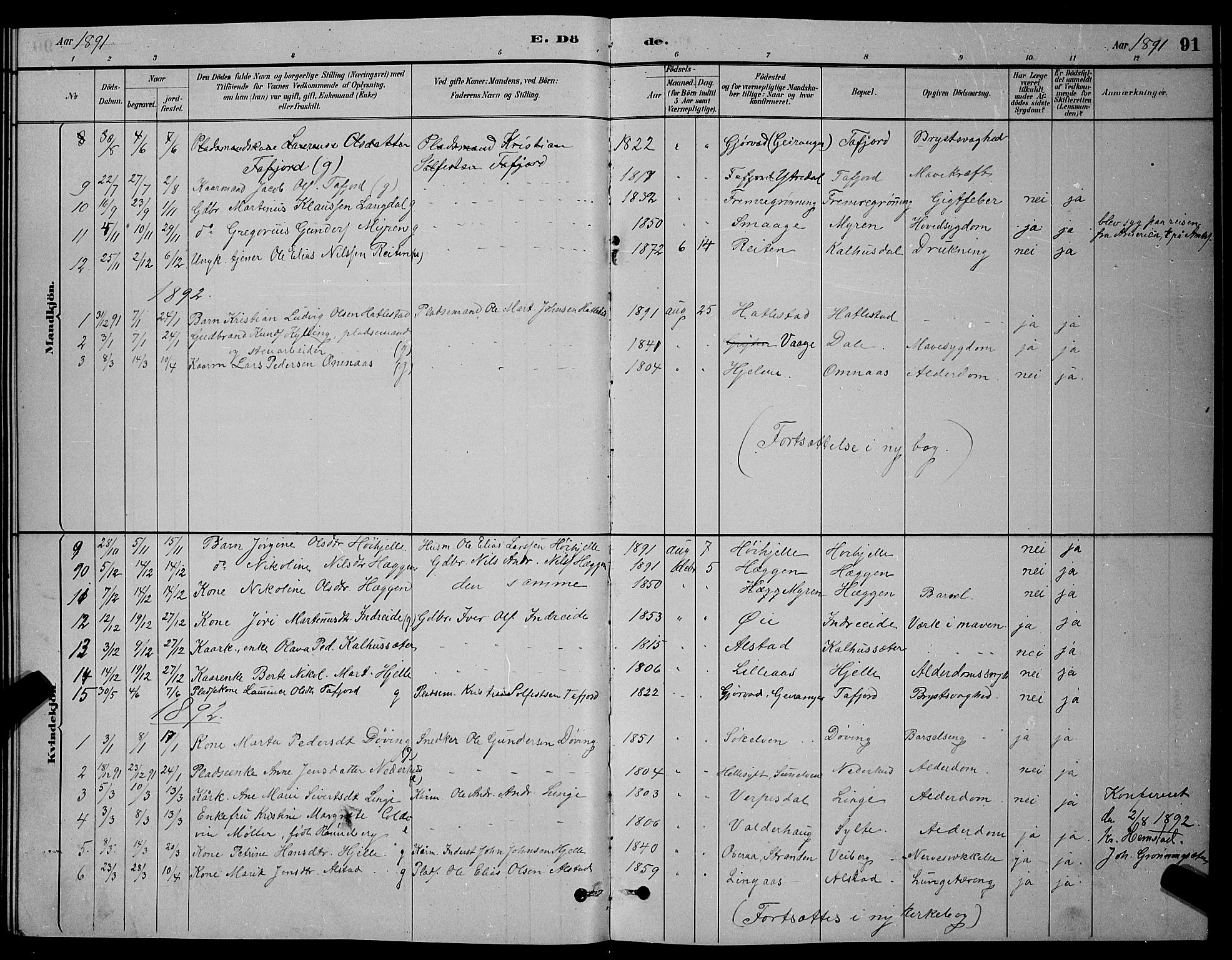 Ministerialprotokoller, klokkerbøker og fødselsregistre - Møre og Romsdal, AV/SAT-A-1454/519/L0263: Parish register (copy) no. 519C04, 1885-1892, p. 91