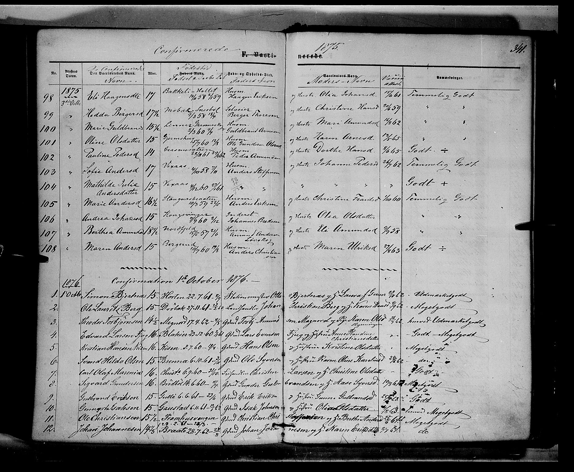 Eidskog prestekontor, AV/SAH-PREST-026/H/Ha/Haa/L0002: Parish register (official) no. 2, 1867-1878, p. 341