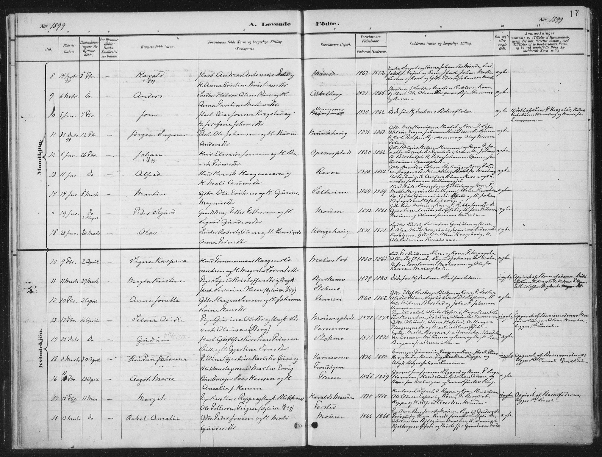 Ministerialprotokoller, klokkerbøker og fødselsregistre - Nord-Trøndelag, SAT/A-1458/709/L0082: Parish register (official) no. 709A22, 1896-1916, p. 17