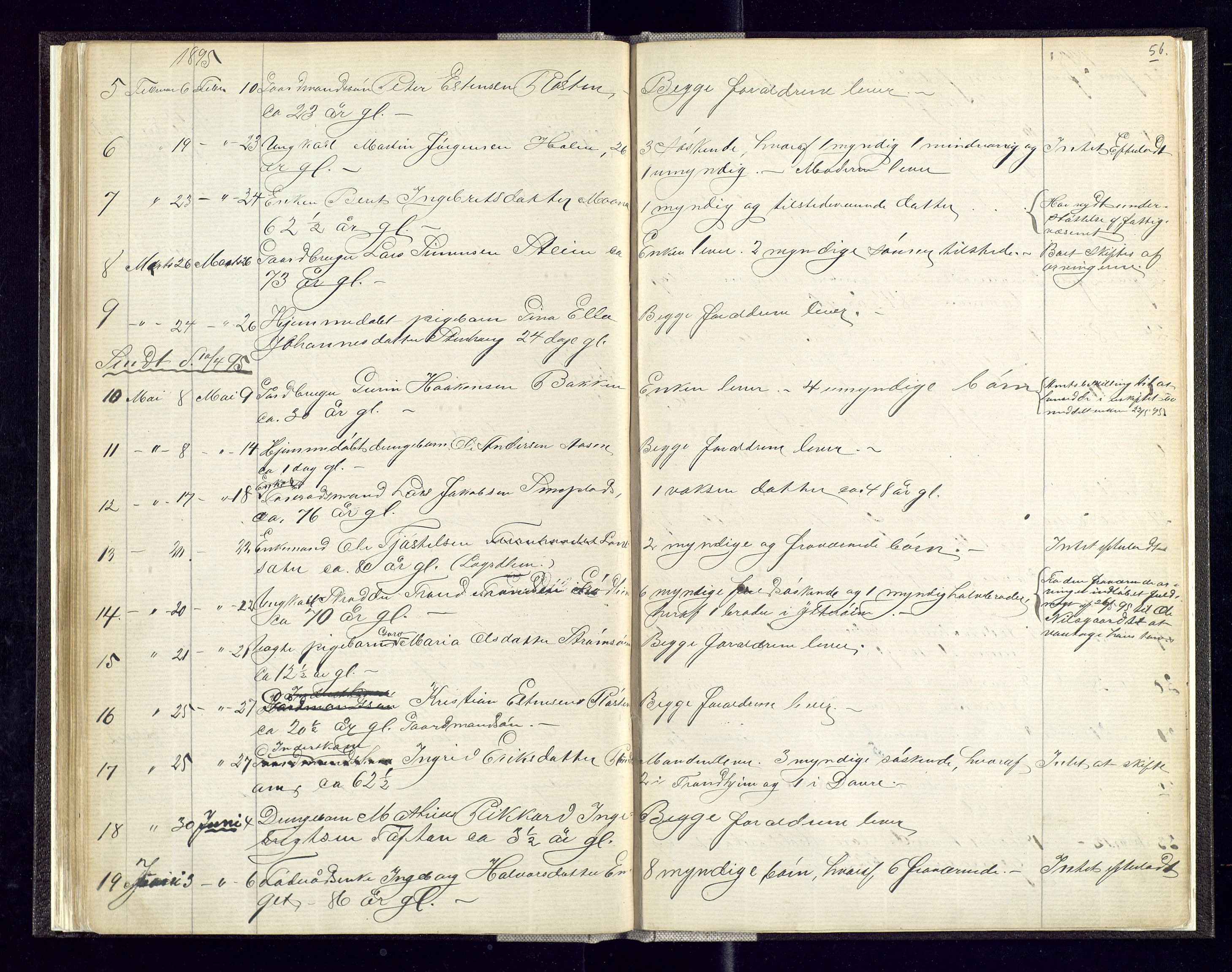 Alvdal og Folldal lensmannskontor, SAH/LHA-007/H/Ha/L0001: Dødsfallsprotokoll, 1875-1900, p. 56