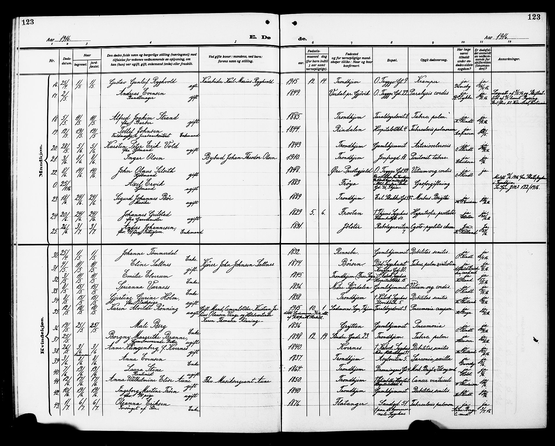 Ministerialprotokoller, klokkerbøker og fødselsregistre - Sør-Trøndelag, AV/SAT-A-1456/602/L0147: Parish register (copy) no. 602C15, 1911-1924, p. 123