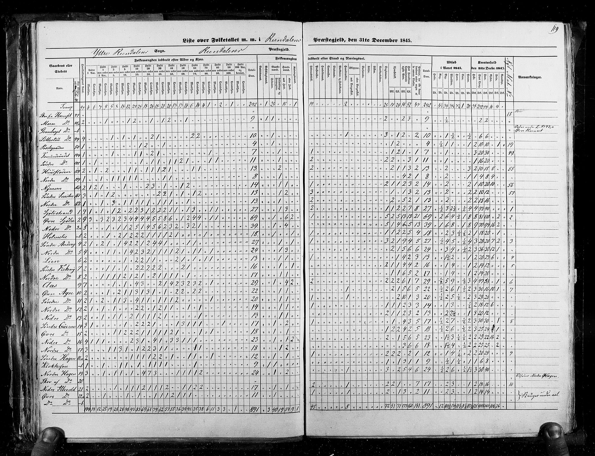 RA, Census 1845, vol. 3: Hedemarken amt og Kristians amt, 1845, p. 119