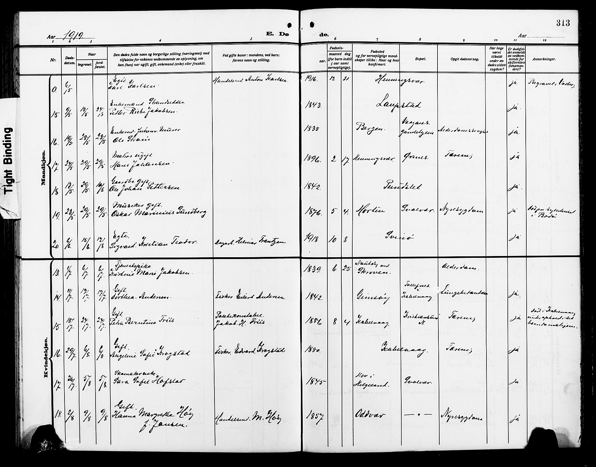 Ministerialprotokoller, klokkerbøker og fødselsregistre - Nordland, AV/SAT-A-1459/874/L1080: Parish register (copy) no. 874C09, 1915-1925, p. 313