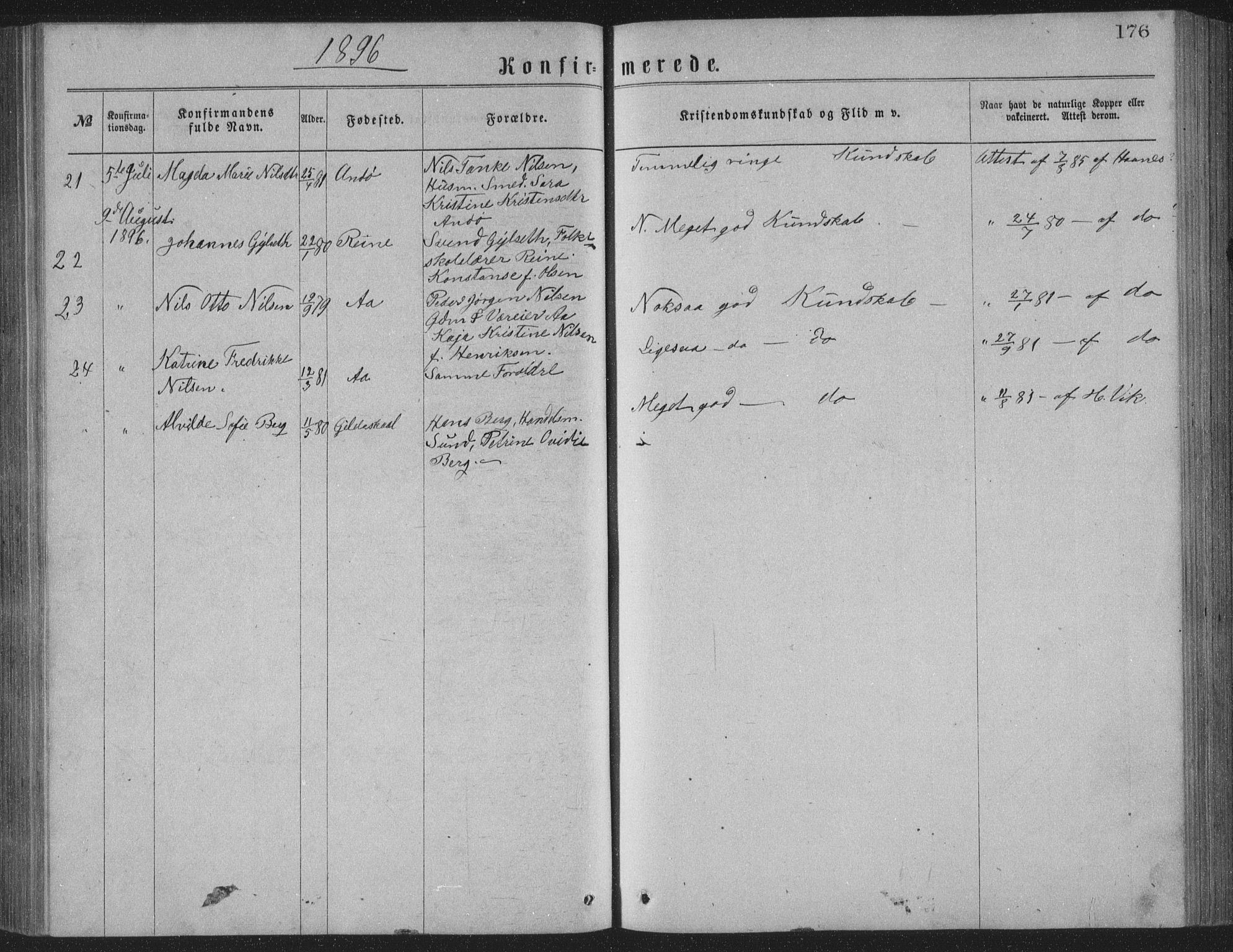 Ministerialprotokoller, klokkerbøker og fødselsregistre - Nordland, AV/SAT-A-1459/886/L1225: Parish register (copy) no. 886C02, 1874-1896, p. 176