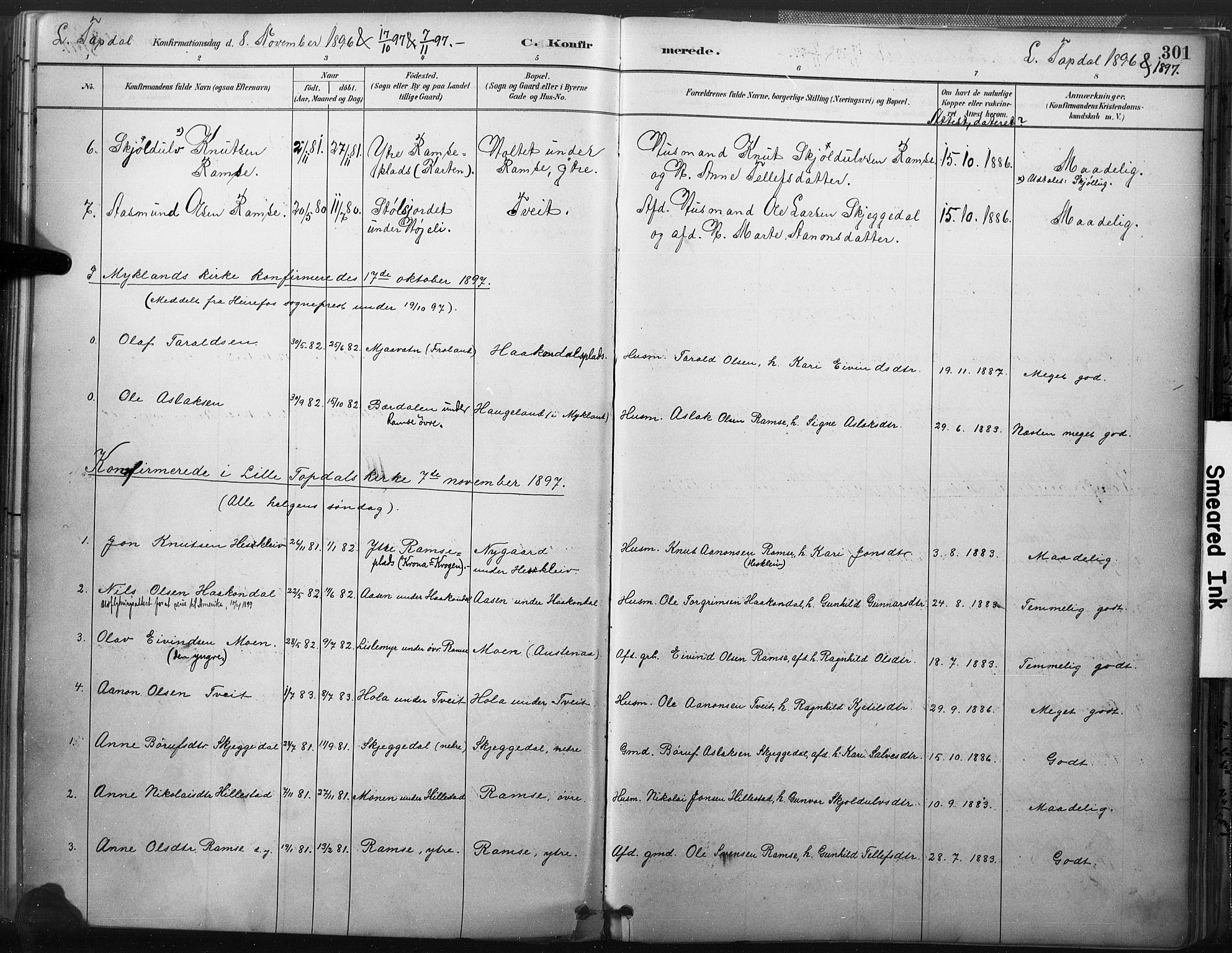 Åmli sokneprestkontor, SAK/1111-0050/F/Fa/Fac/L0010: Parish register (official) no. A 10 /3, 1885-1899, p. 301