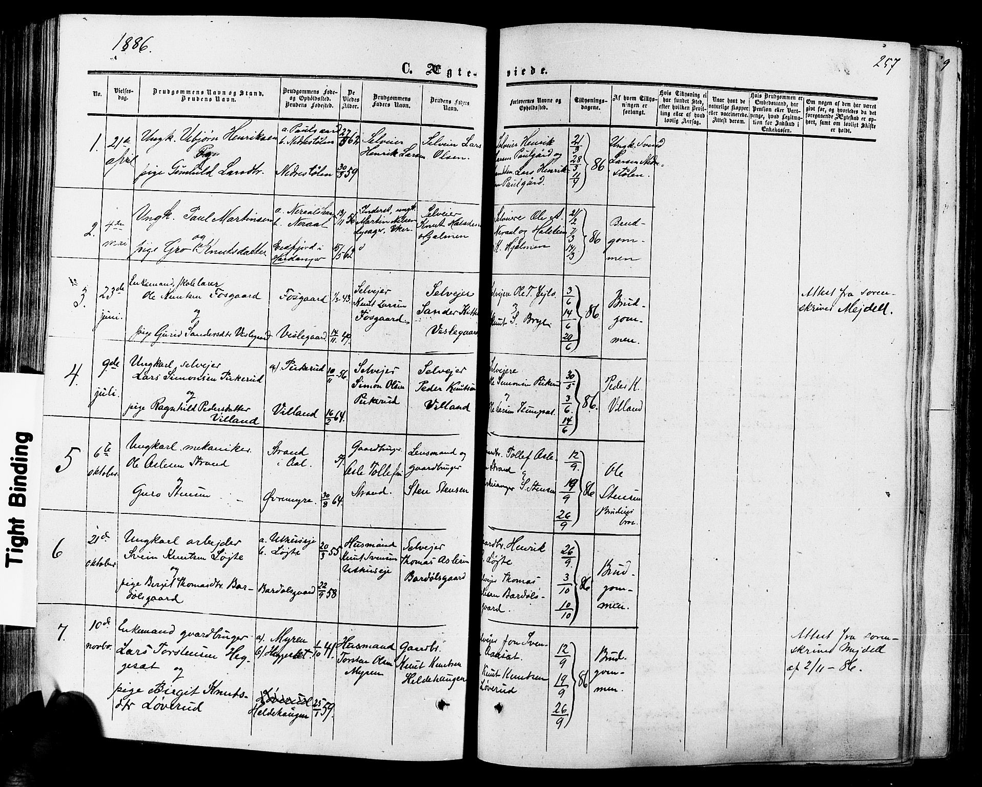 Hol kirkebøker, SAKO/A-227/F/Fa/L0002: Parish register (official) no. I 2, 1870-1886, p. 257