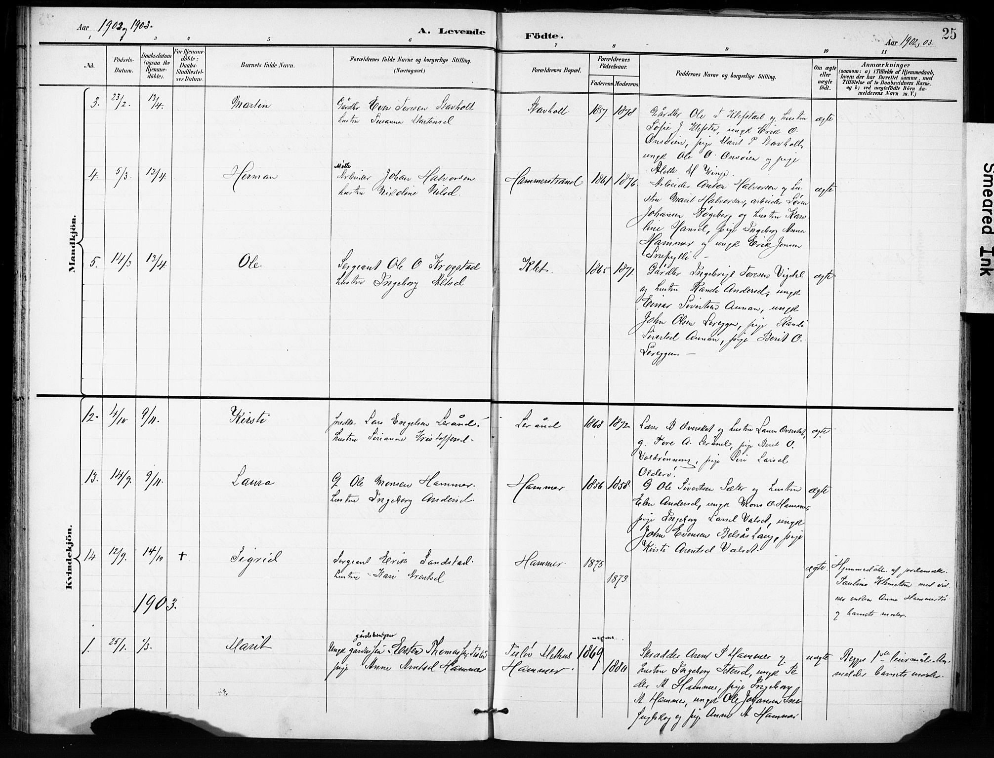 Ministerialprotokoller, klokkerbøker og fødselsregistre - Sør-Trøndelag, SAT/A-1456/666/L0787: Parish register (official) no. 666A05, 1895-1908, p. 25
