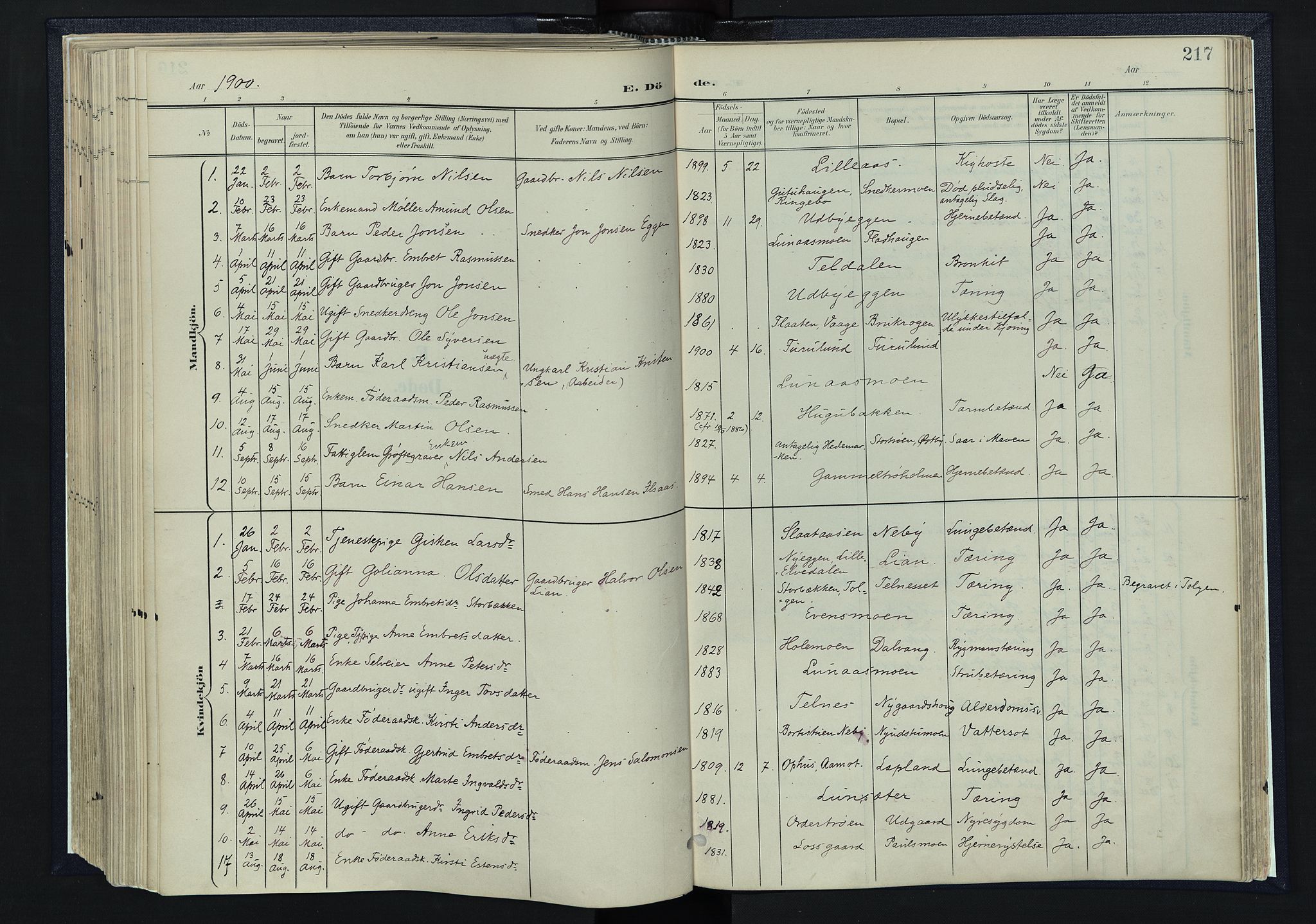 Tynset prestekontor, AV/SAH-PREST-058/H/Ha/Haa/L0025: Parish register (official) no. 25, 1900-1914, p. 217